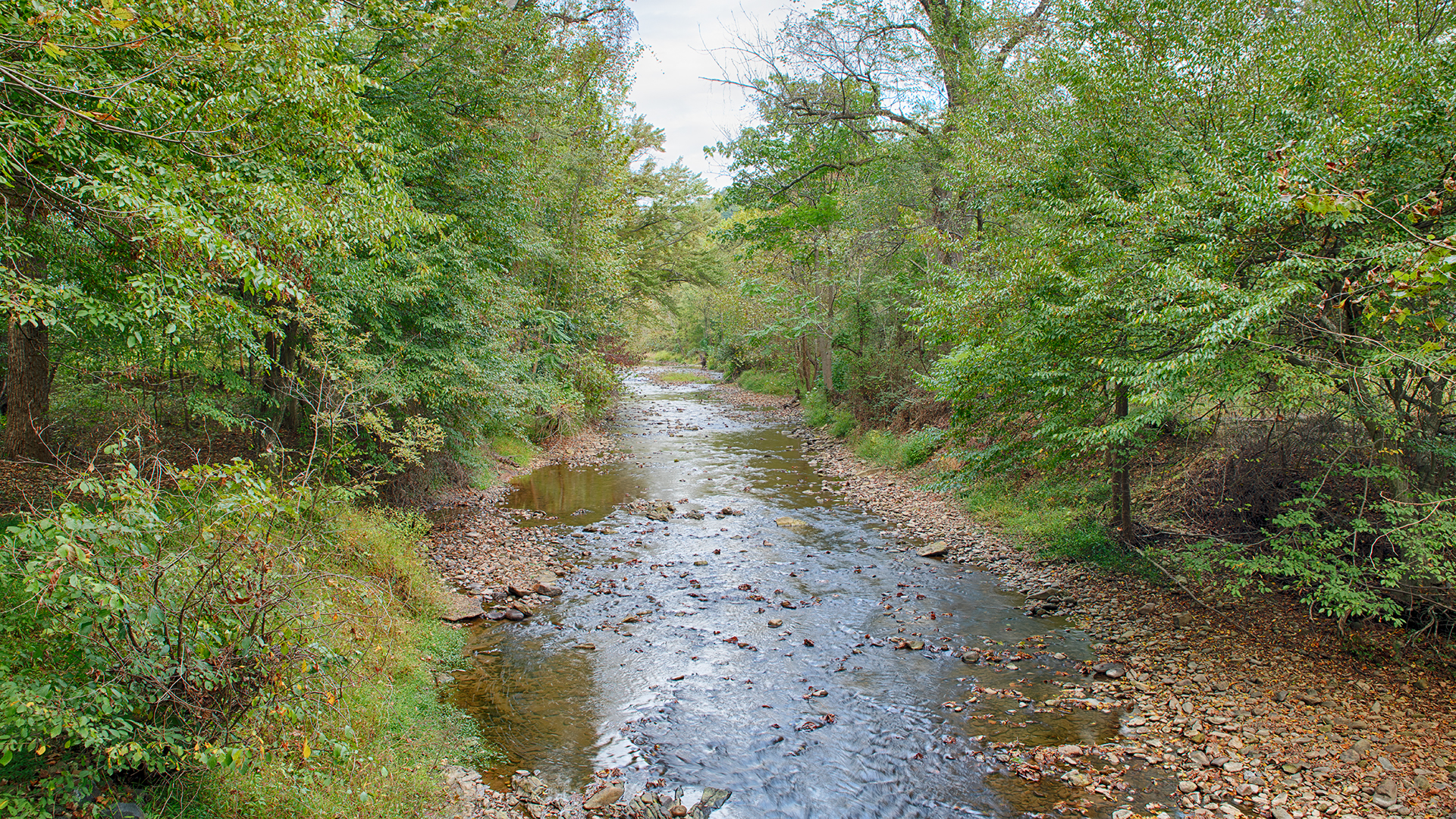 Madison County Va Land for Sale