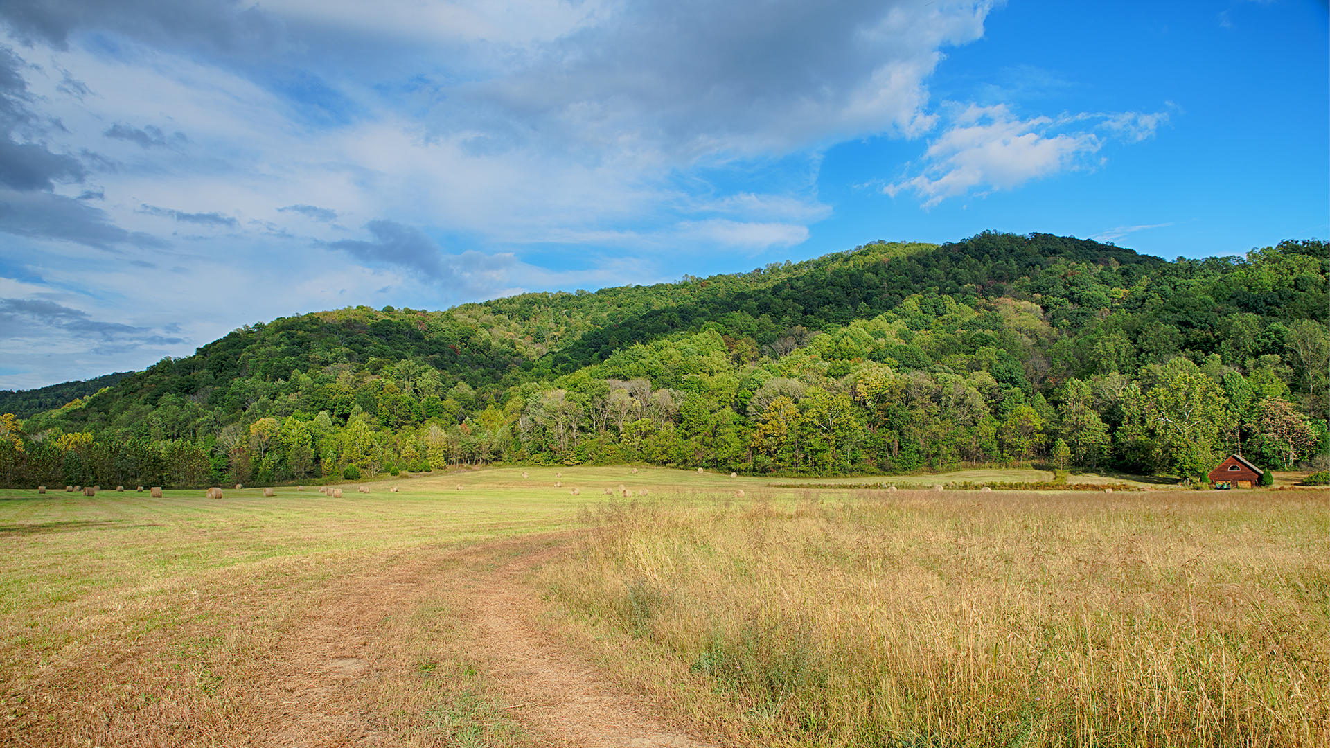 Virginia land for sale with river frontage