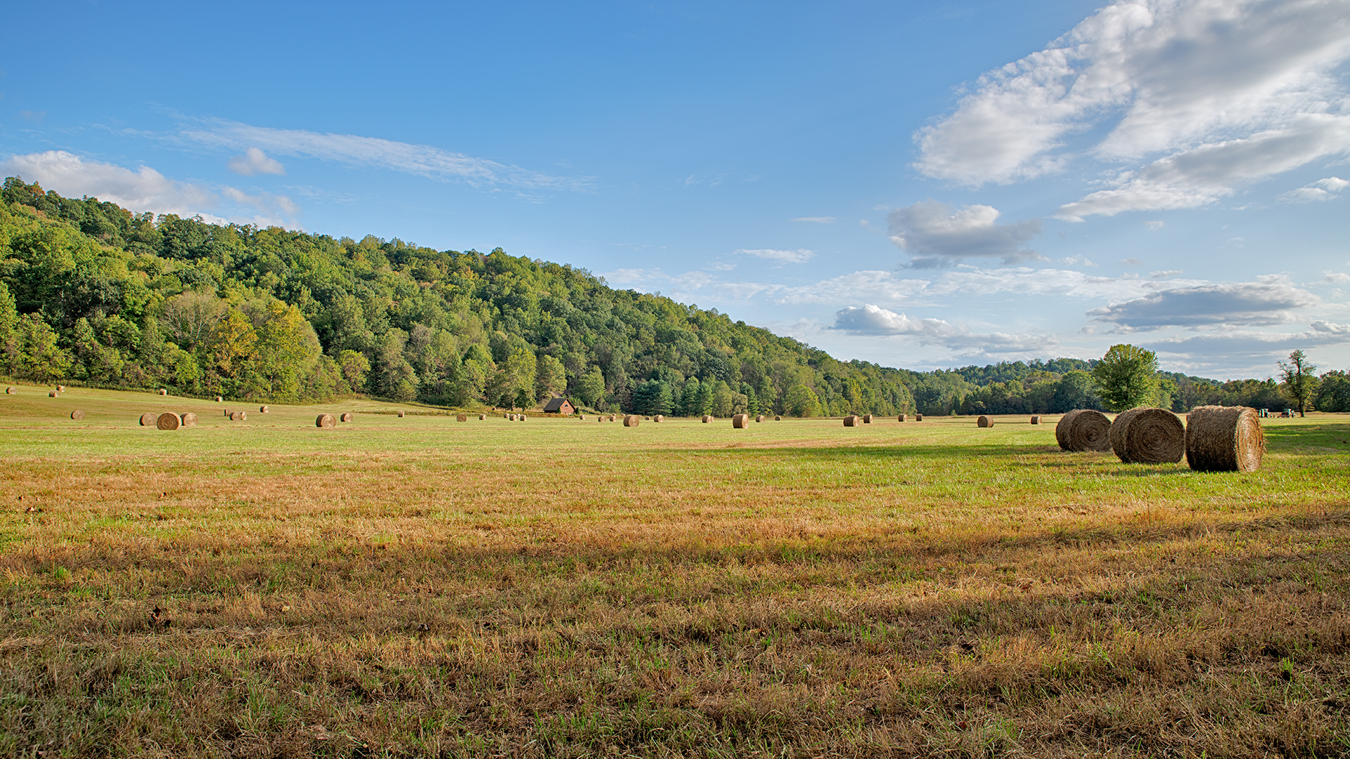 Virginia land for sale