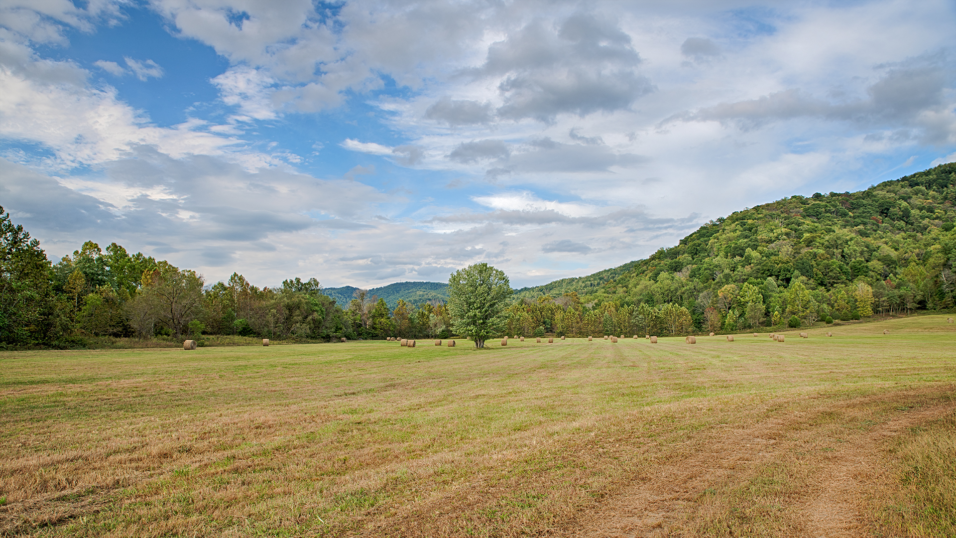 Madison County VA land for Sale