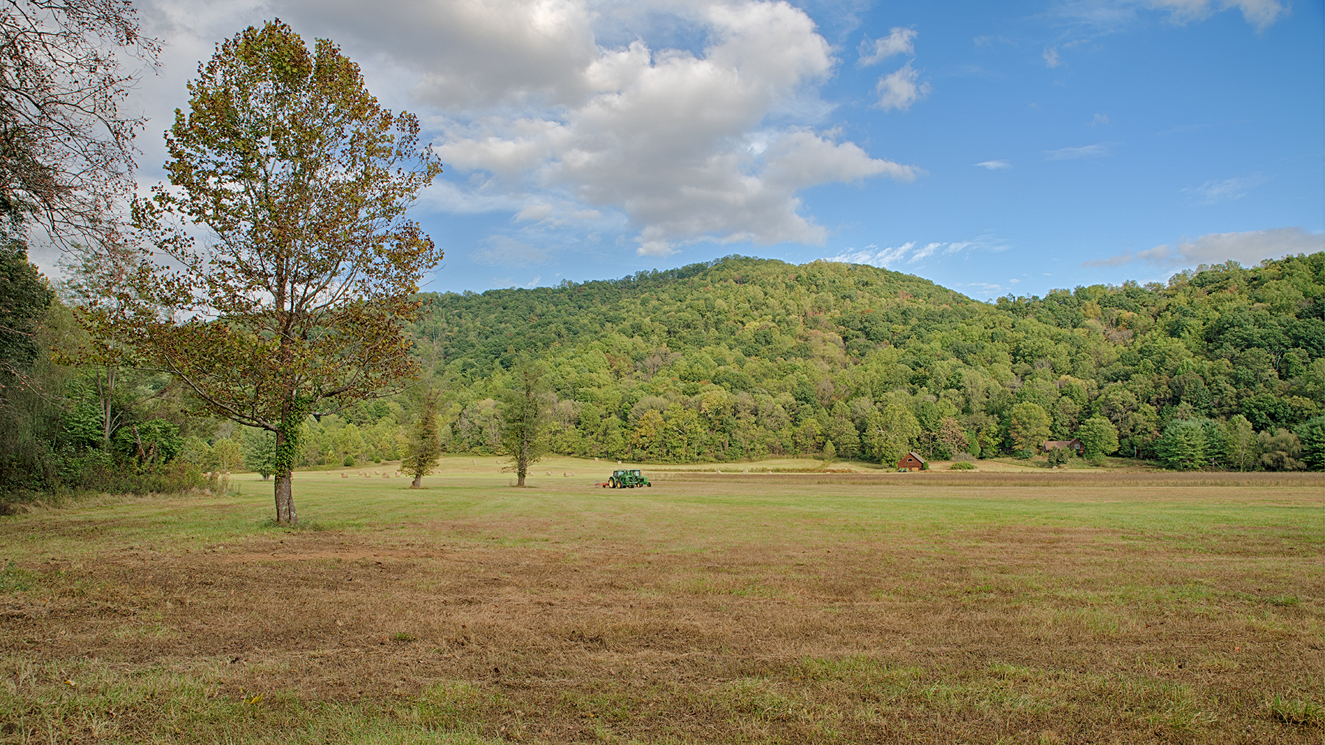 Madison County Virginia land for sale 