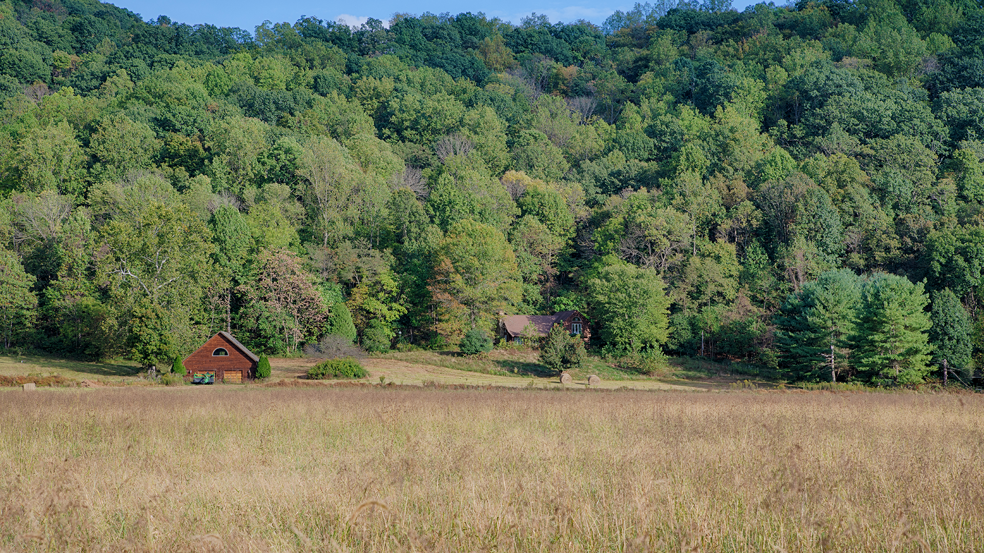 Madison County Virginia land for sale on the Rapidan River