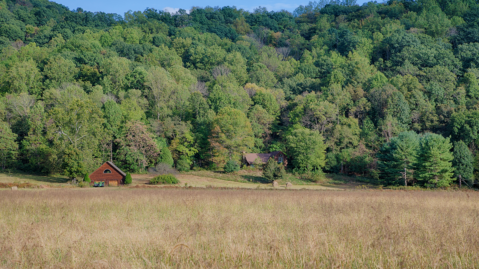 Madison County Virginia land for sale on the Rapidan River