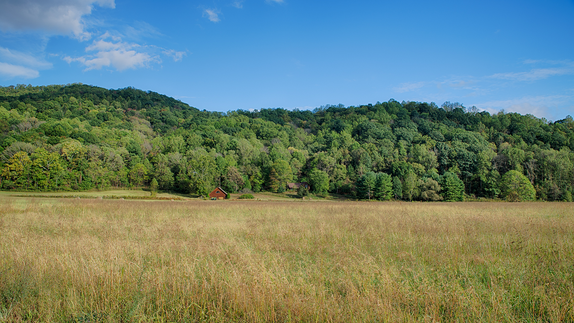 Madison County Virginia land for sale near Shenandoah National Park