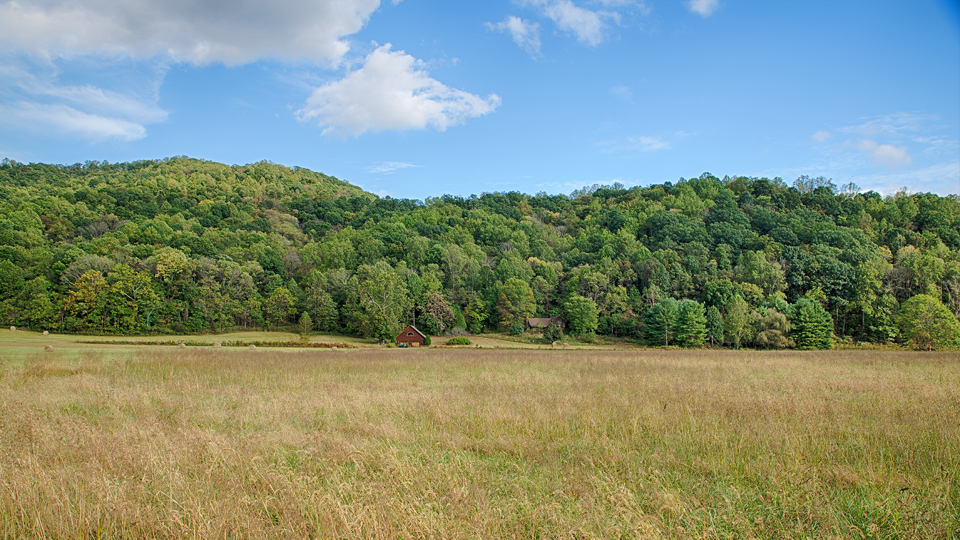 Madison County Virginia land for sale with river frontage
