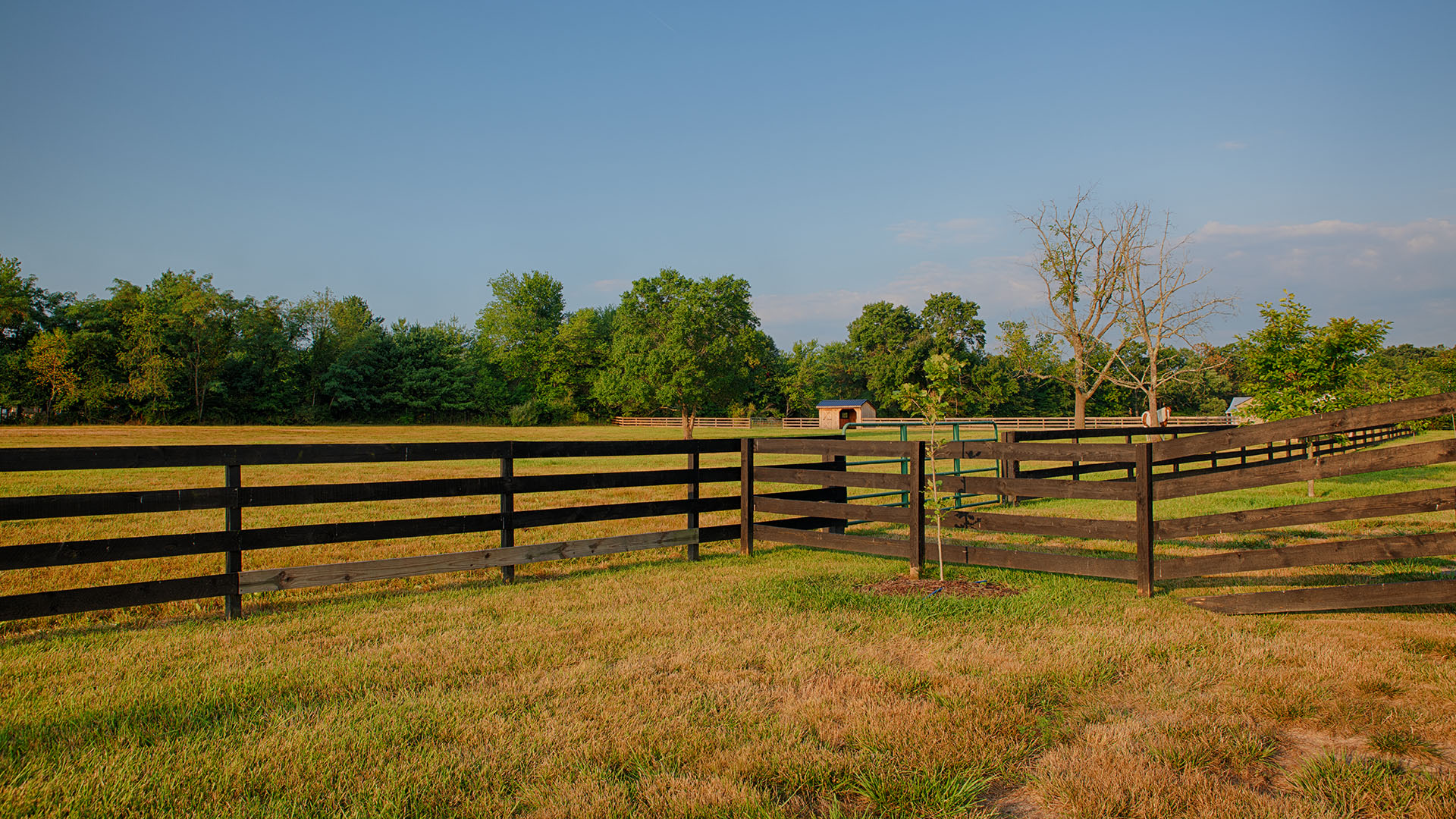 Farm and Compound for Sale in VA