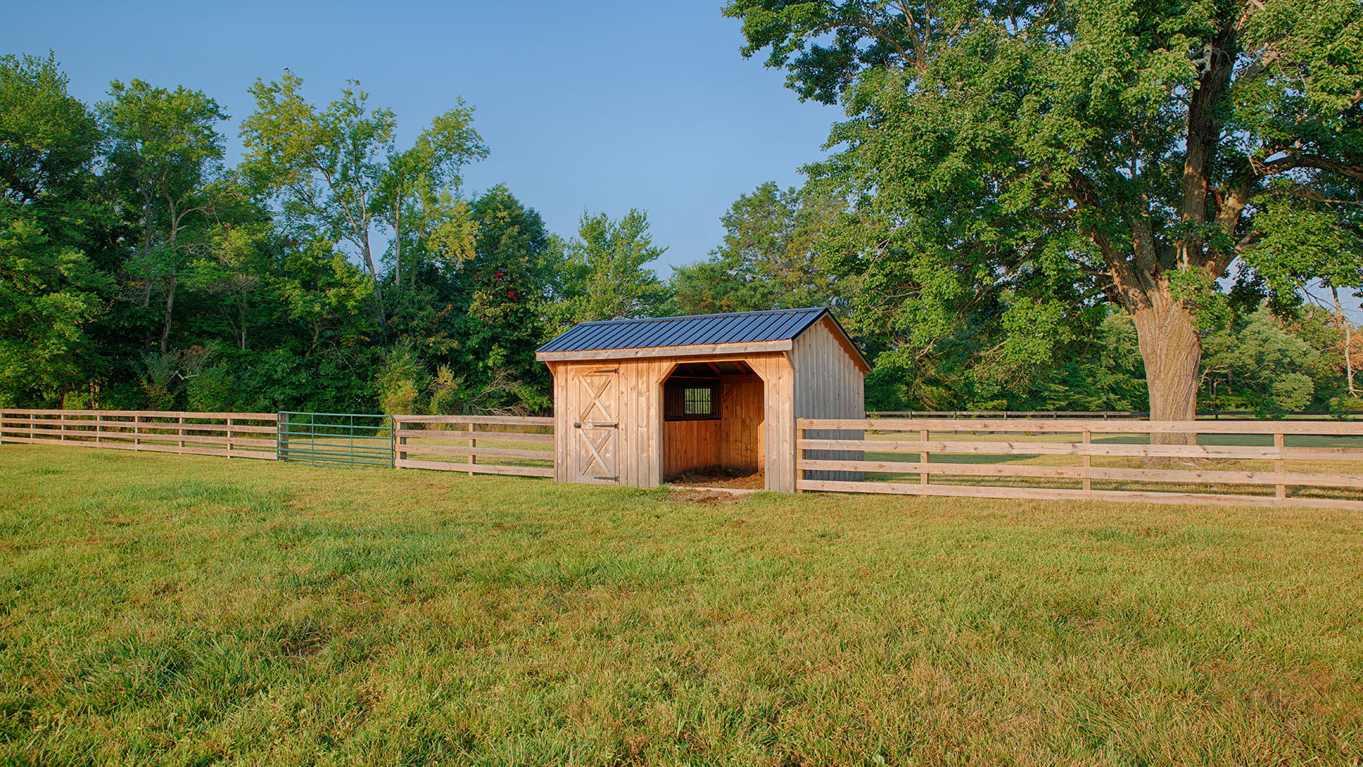 Farm and Compound for Sale in VA