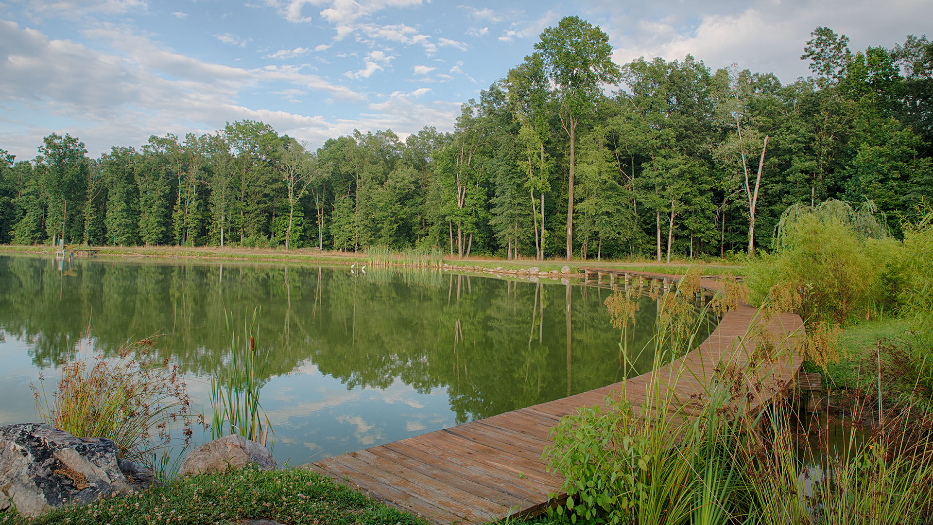 Farm and Compound for Sale in VA