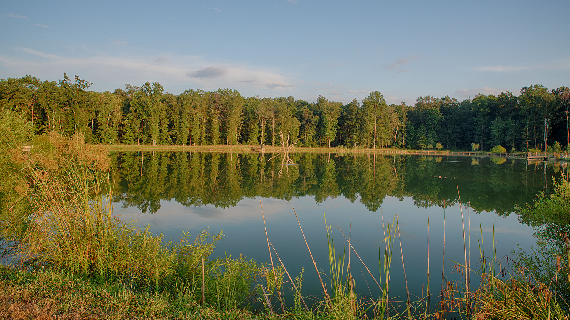 Farm and Compound for Sale in VA