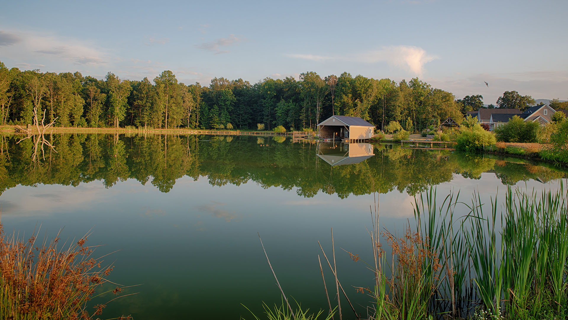 Farm and Compound for Sale in VA