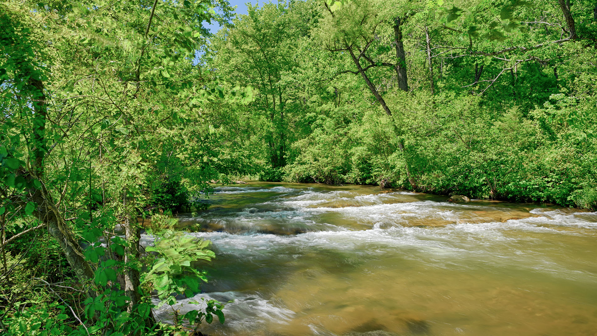 Small Farm for Sale in Nelson County VA