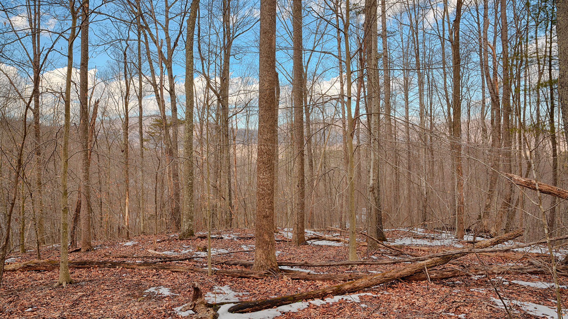 315 Walnut Grove Land for Sale in Nelson County, Virginia
