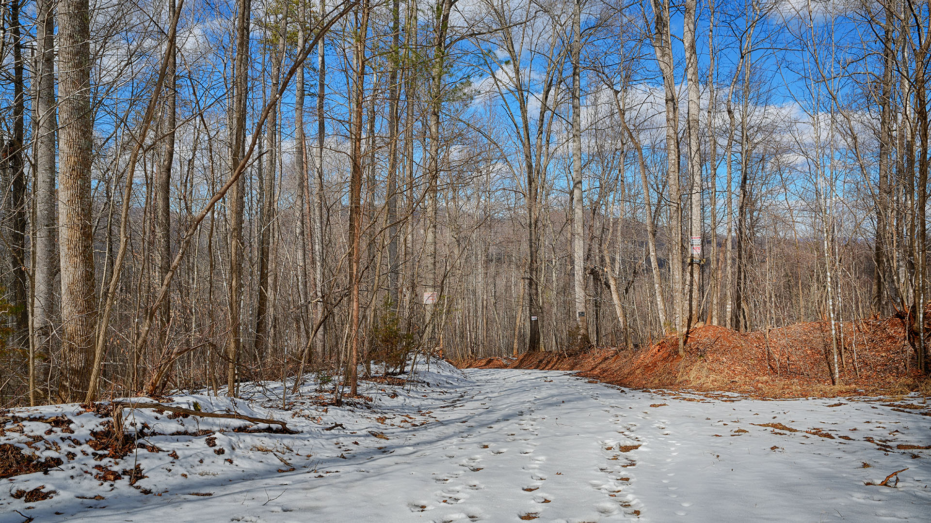 315 Walnut Grove Land for Sale in Nelson County, Virginia