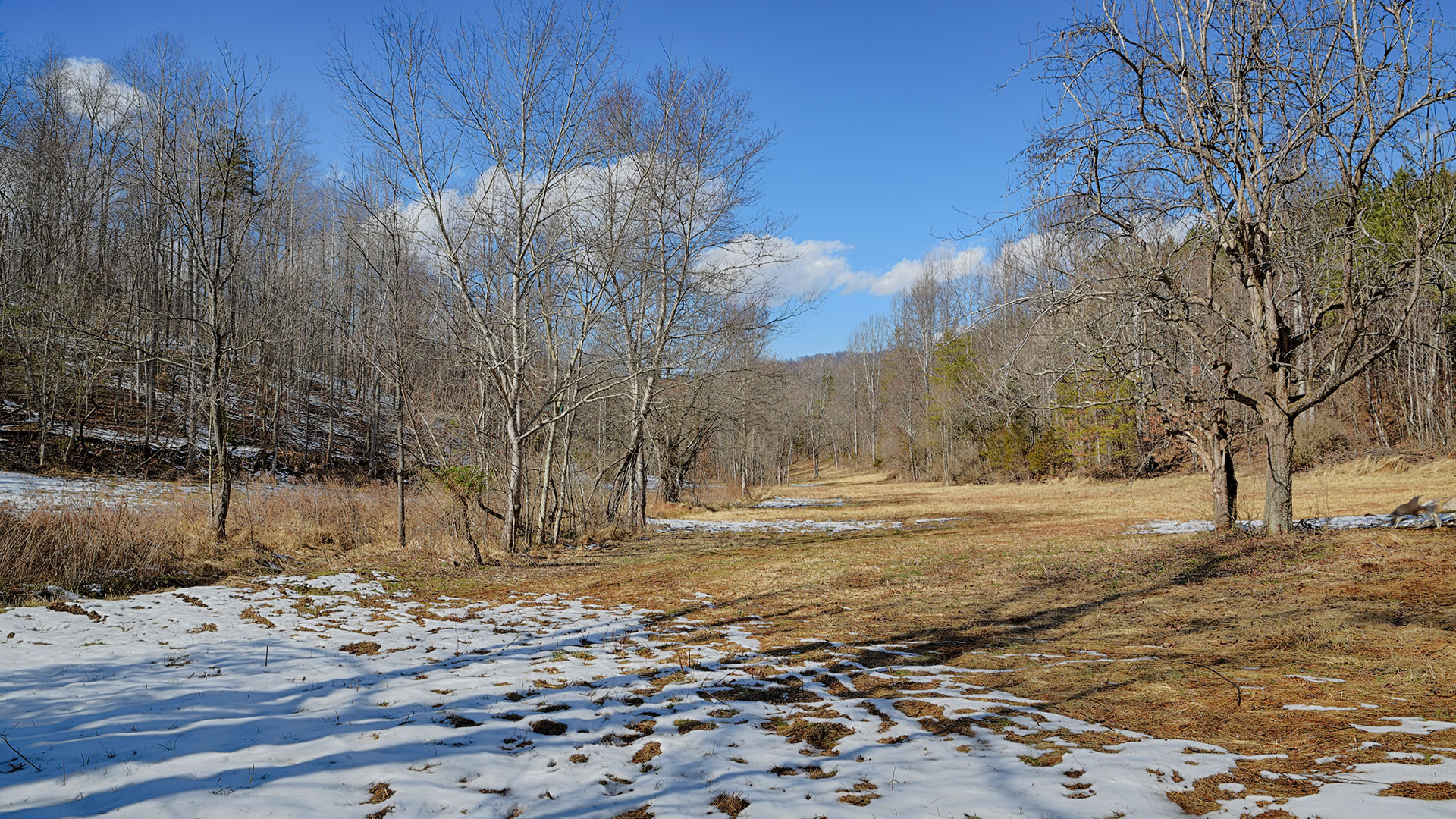 315 Walnut Grove Land for Sale in Nelson County, Virginia