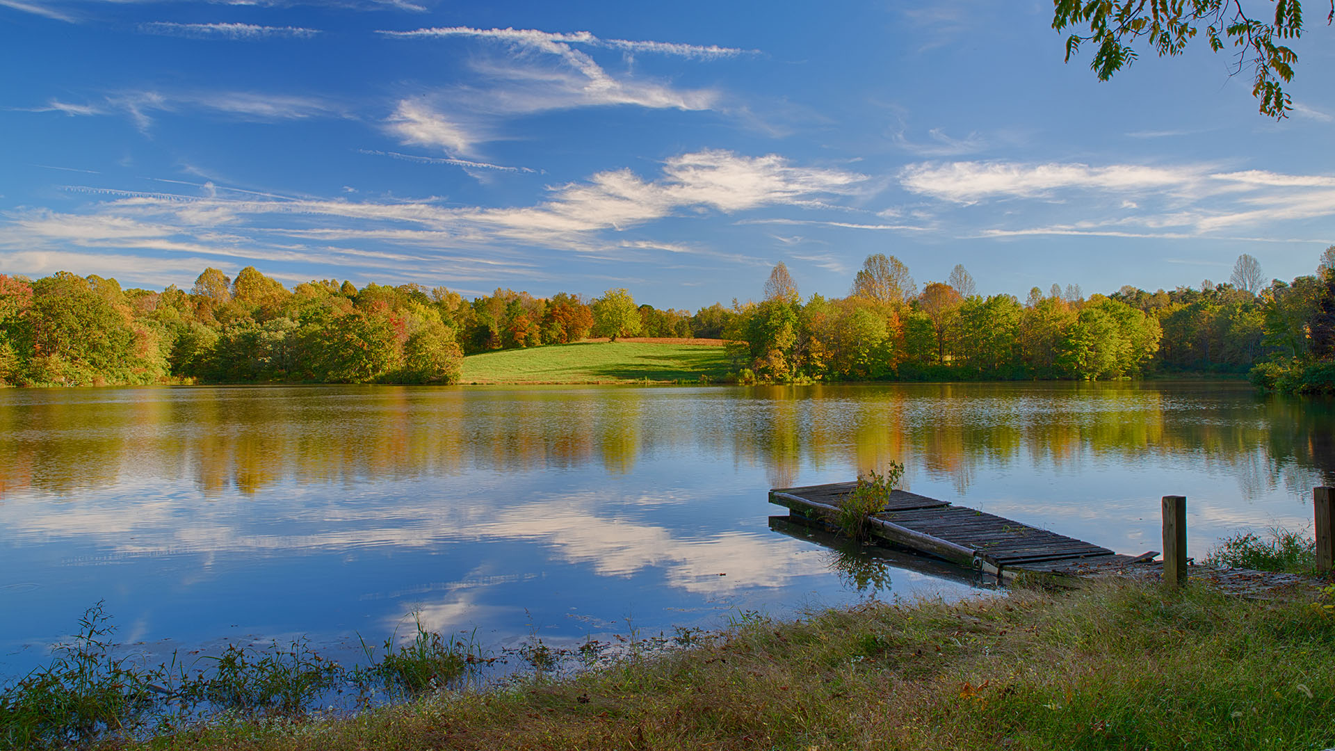 Oakland Road Land for Sale in Louisa County Virginia