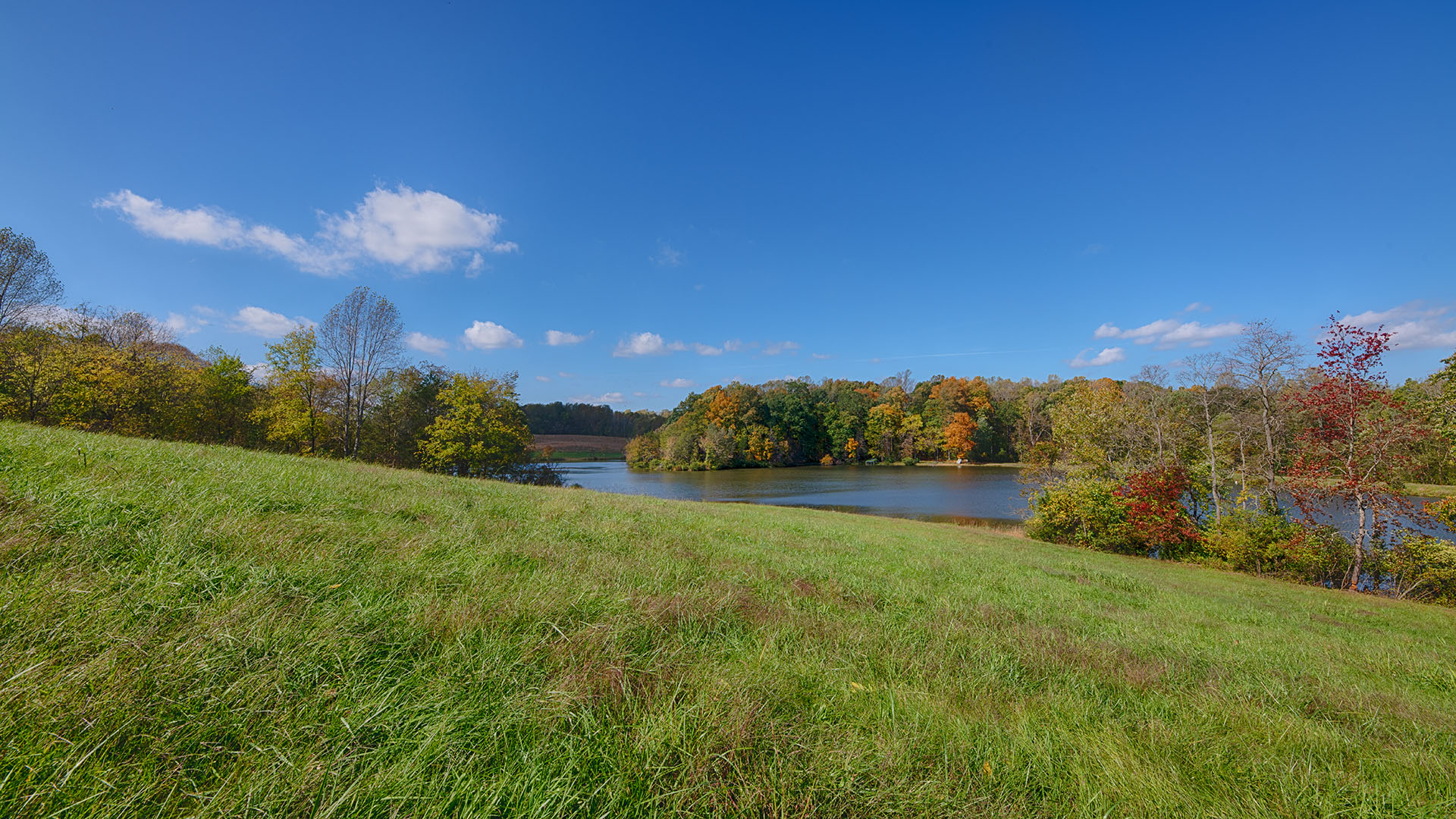 Oakland Road Land for Sale in Louisa County Virginia