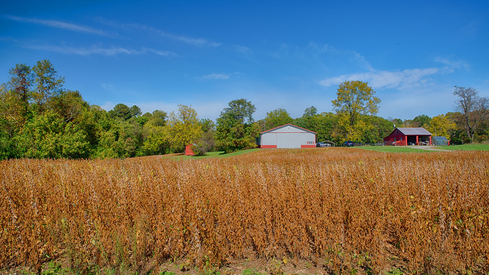 4759 Oakland Road Louisa, Virginia 22738