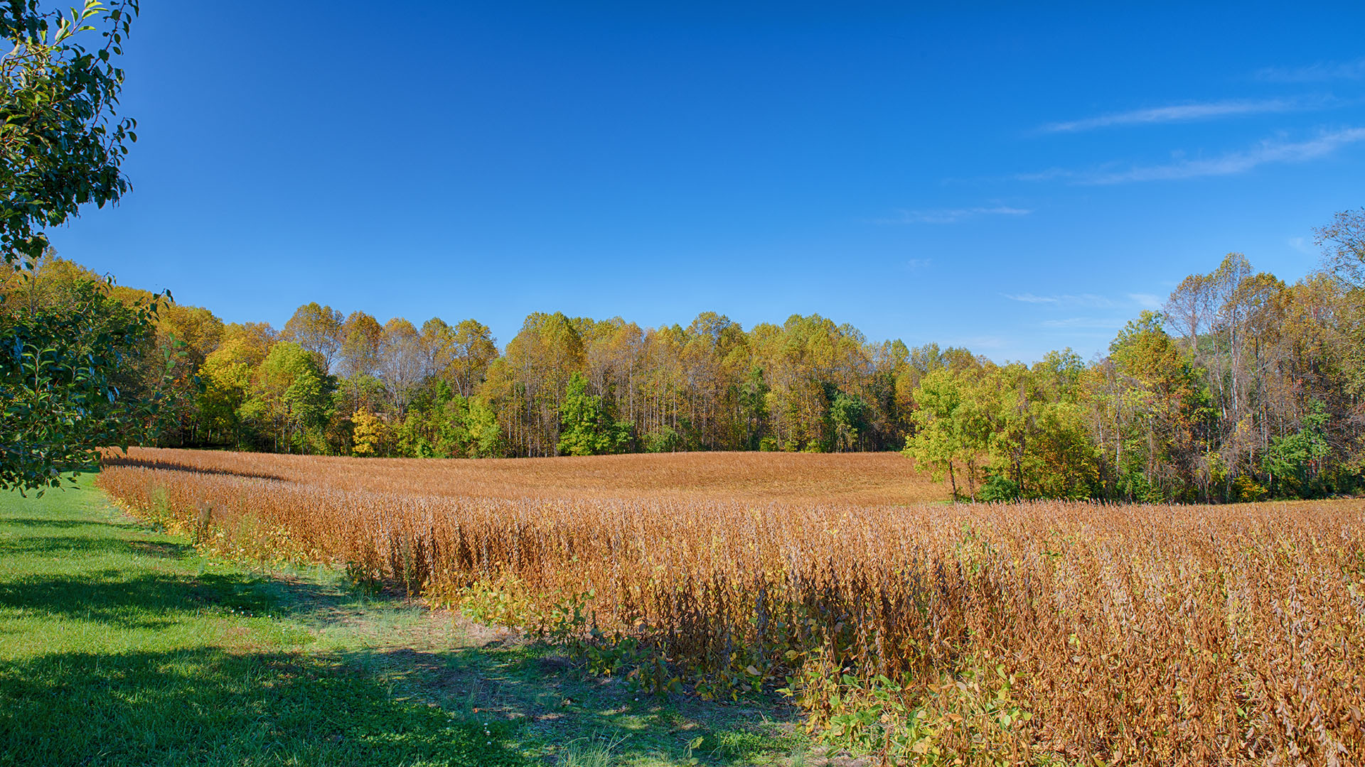 4759 Oakland Road Louisa, Virginia 22738