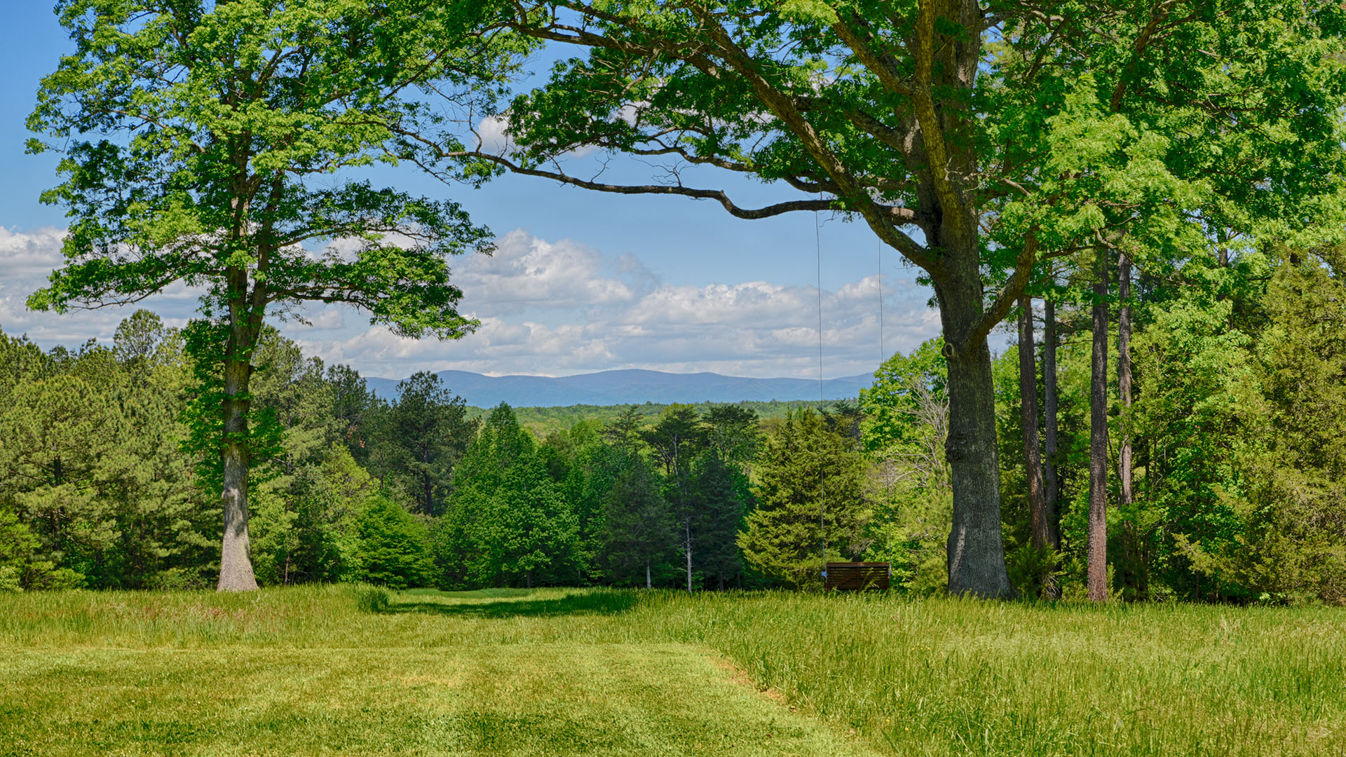  Albemarle County VA Estate Land for Sale