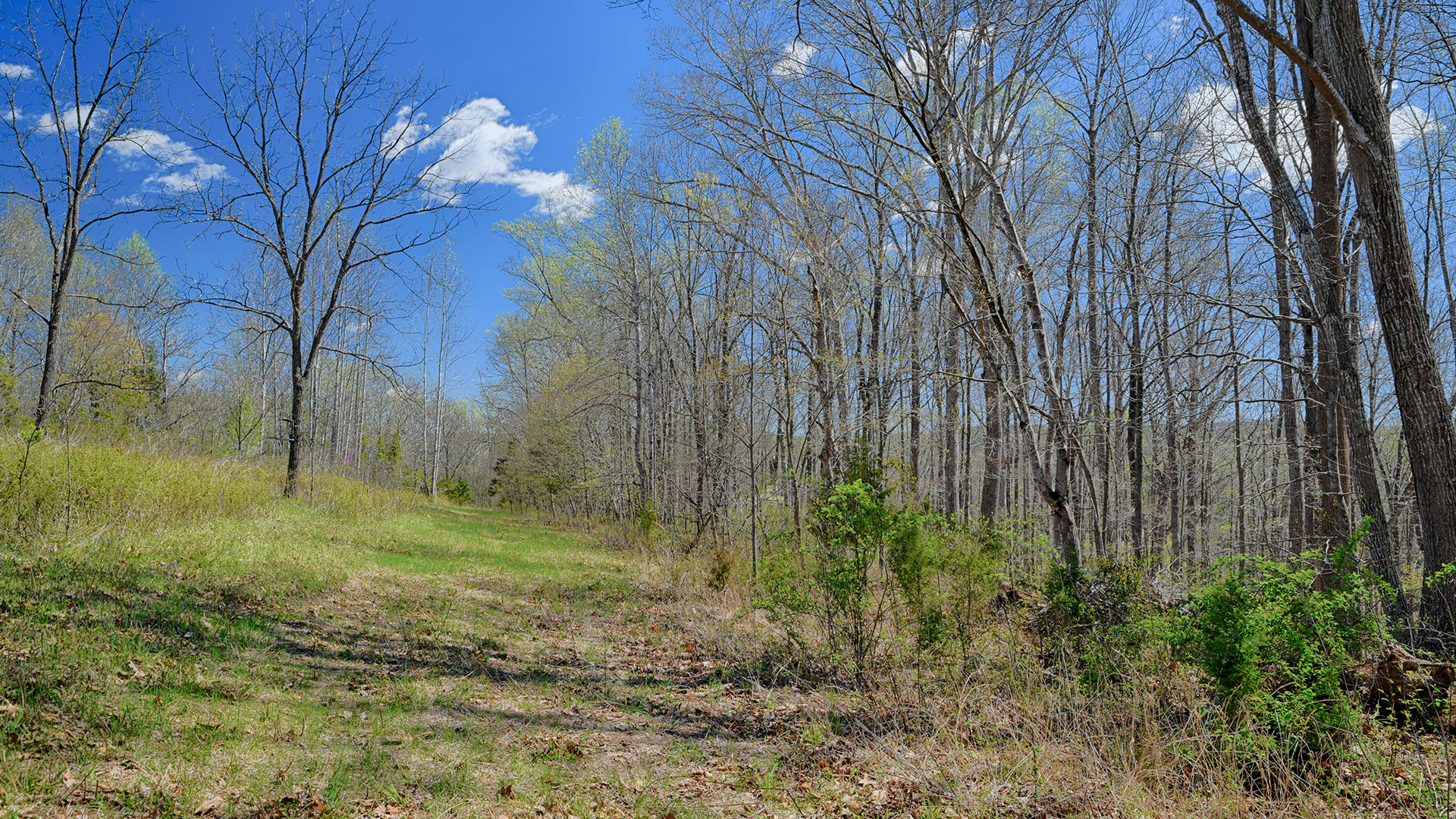 Cove Creek Land for Sale in Nelson County, Virginia
