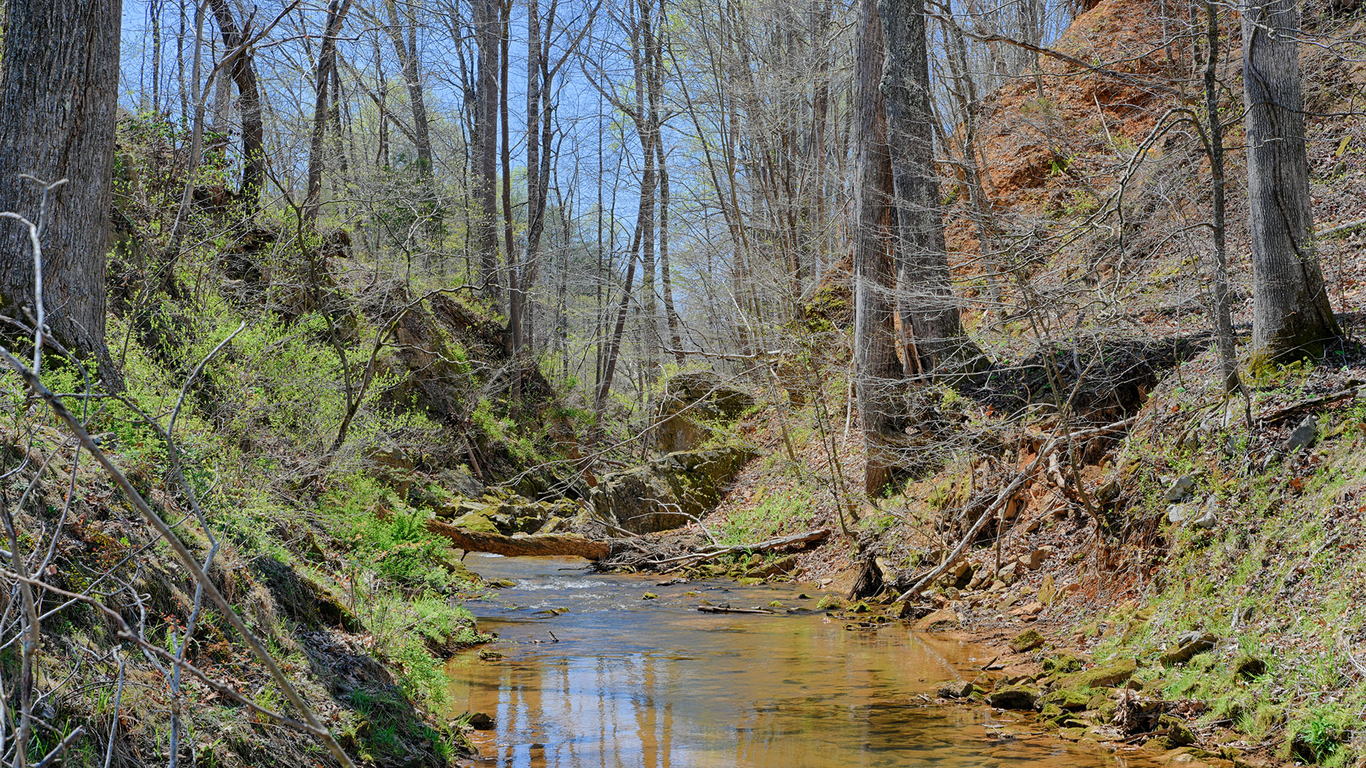 Cove Creek Land for Sale in Nelson County, Virginia