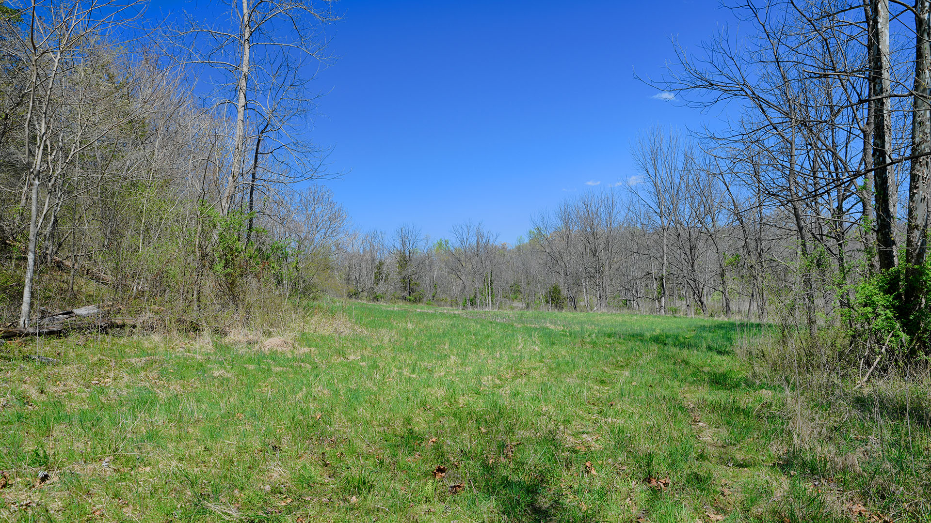 Cove Creek in Faber, Virginia