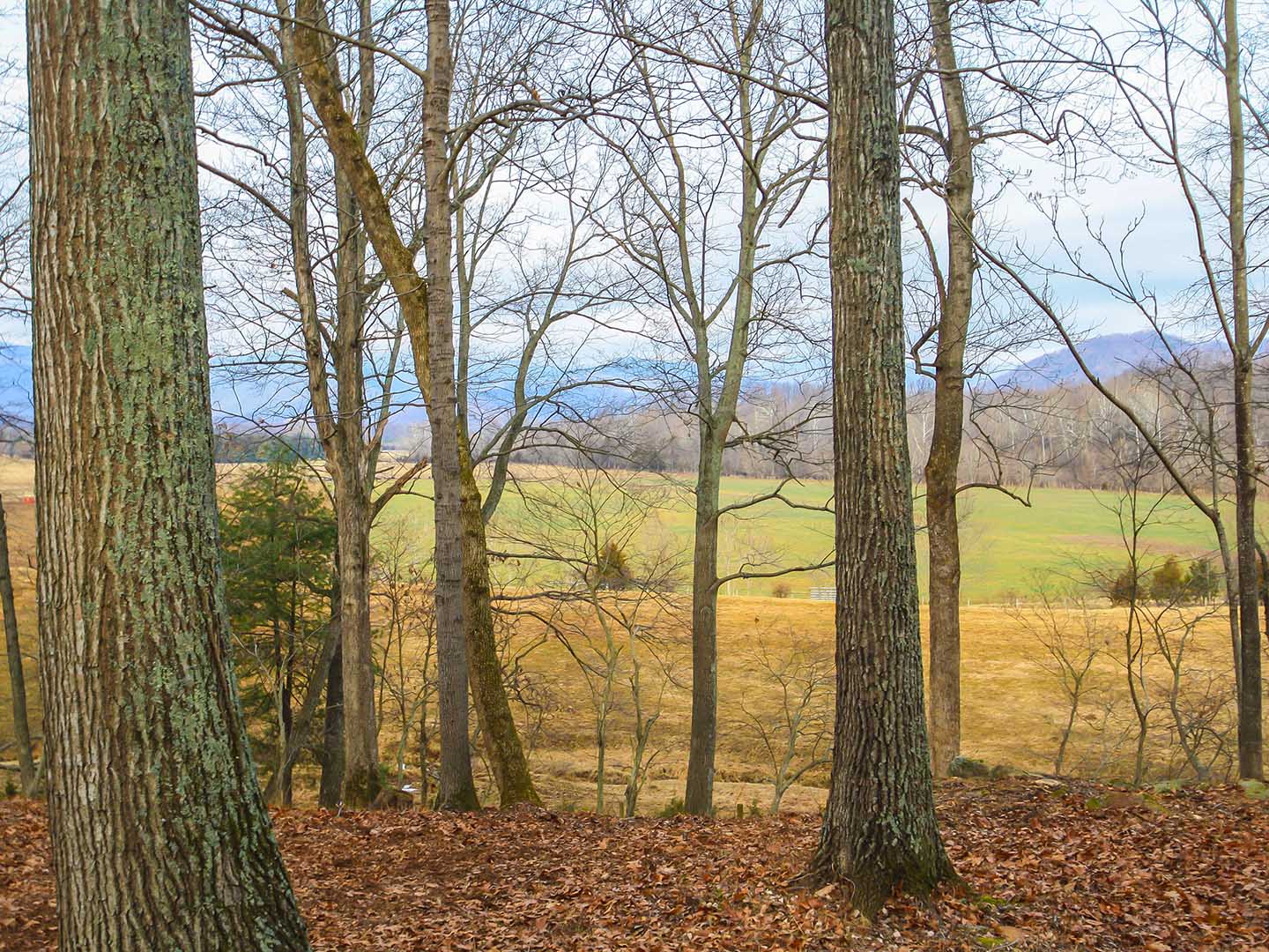 Dundee Farm In Virginia for Sale