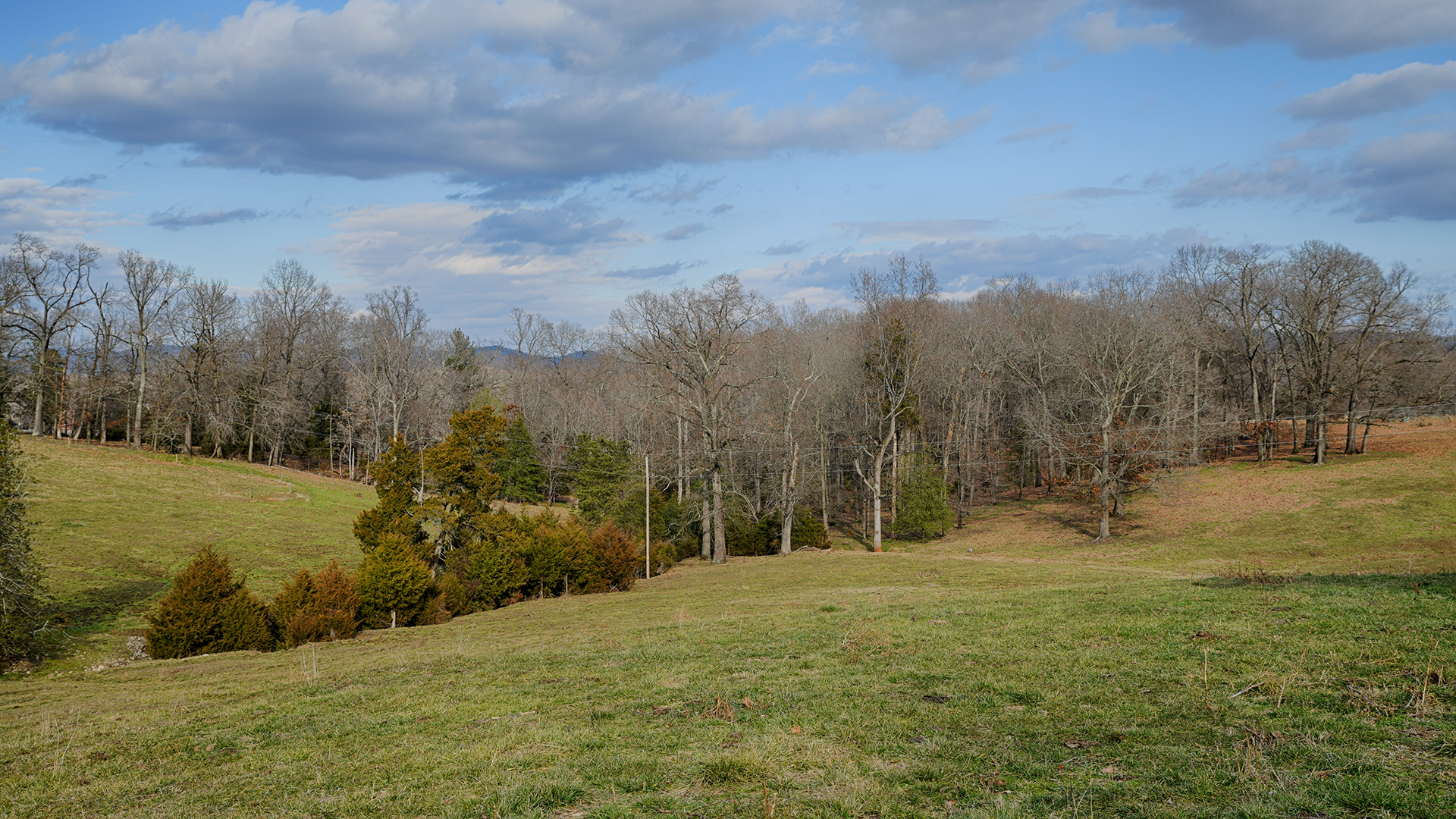 Land for sale in Greene County Va