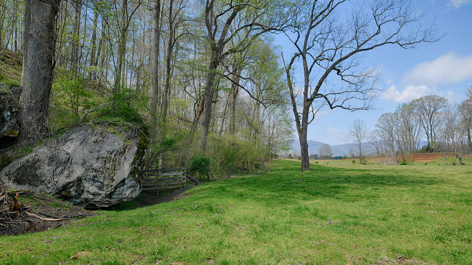 Land for sale in Greene County Va