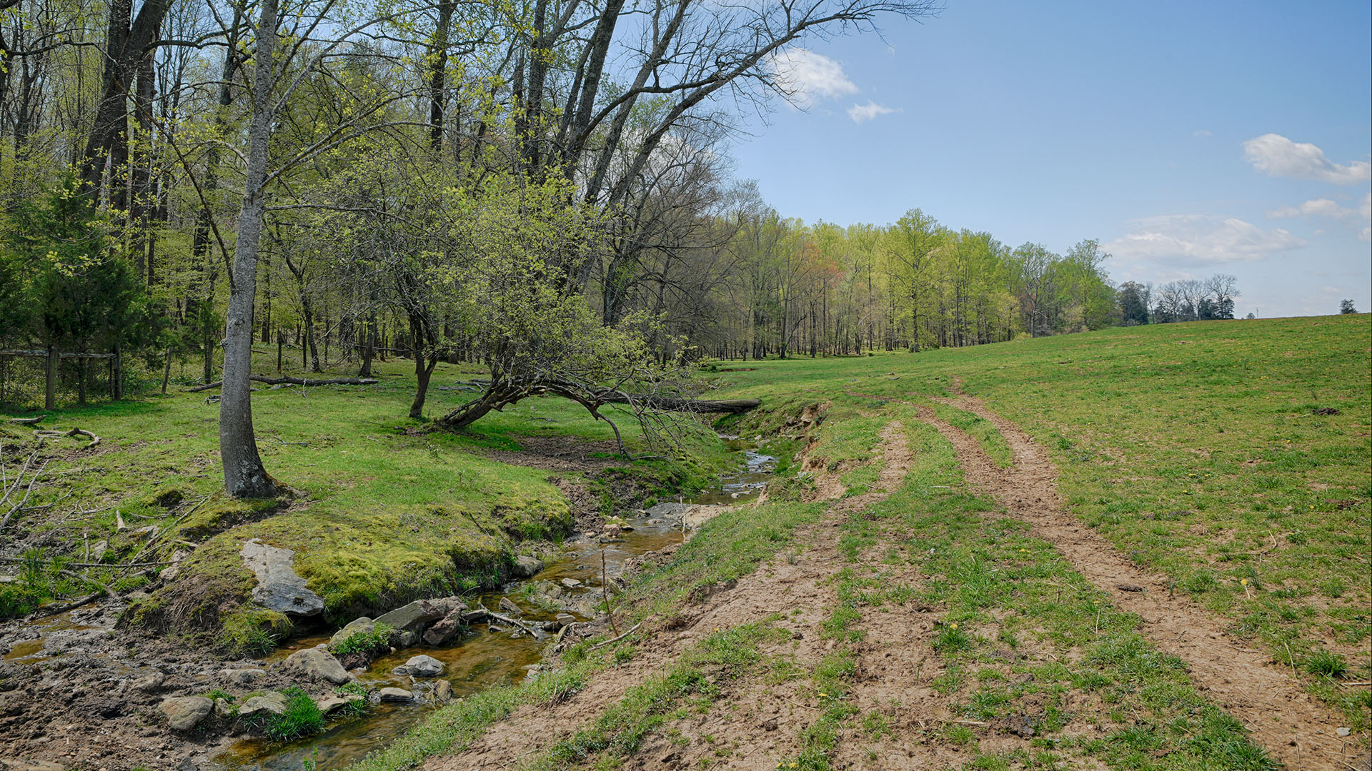 Land for sale in Greene County Va