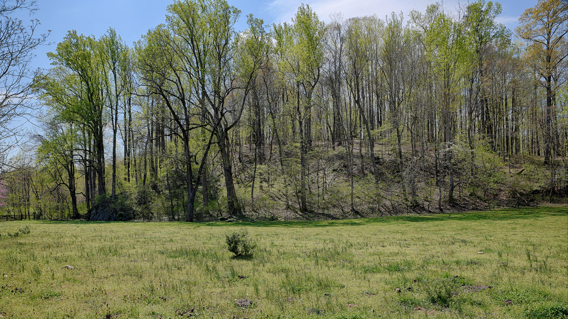 Land for sale in Greene County Va