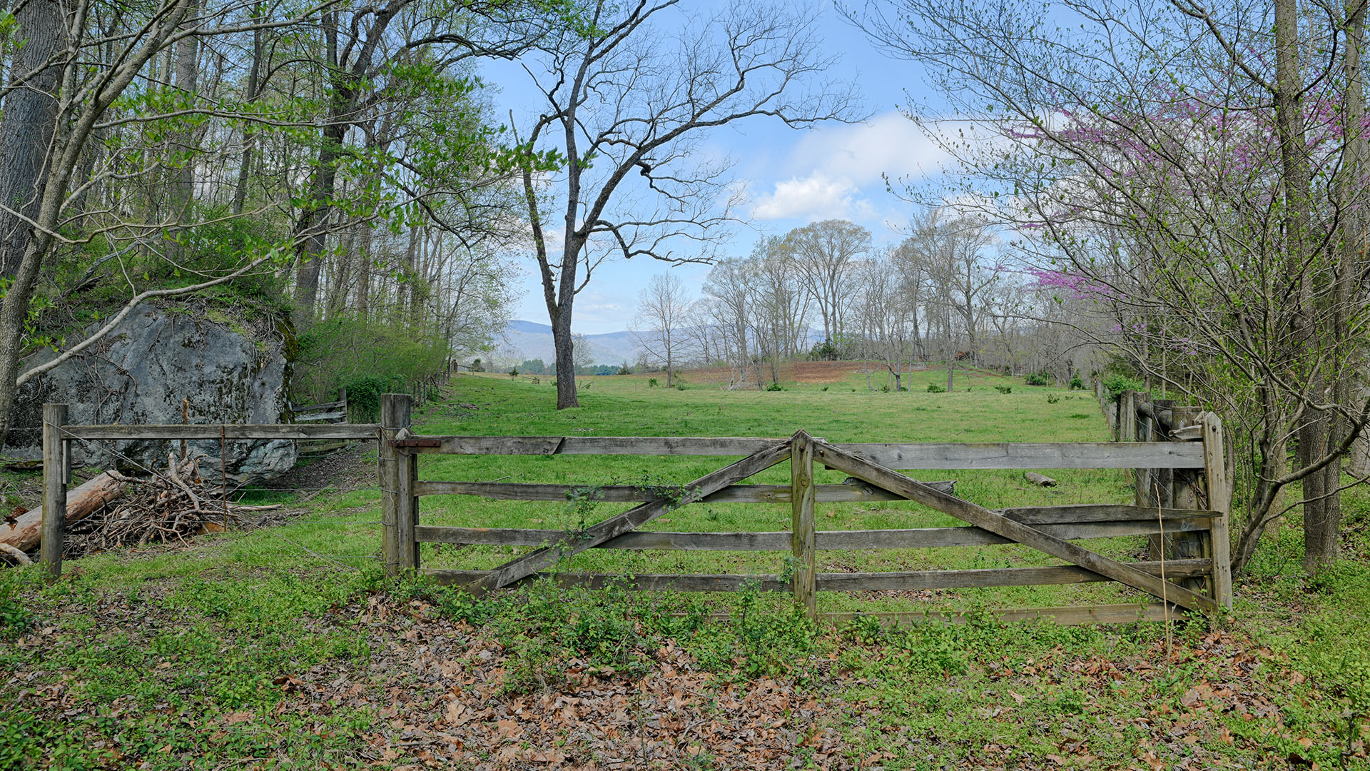 Land for sale in Greene County Va