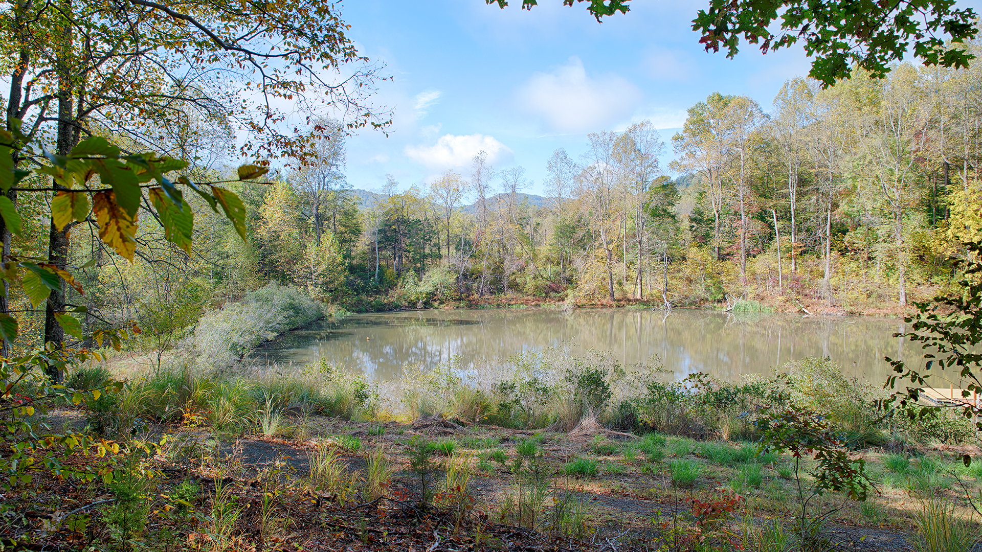 Nelson County Va Land for Sale