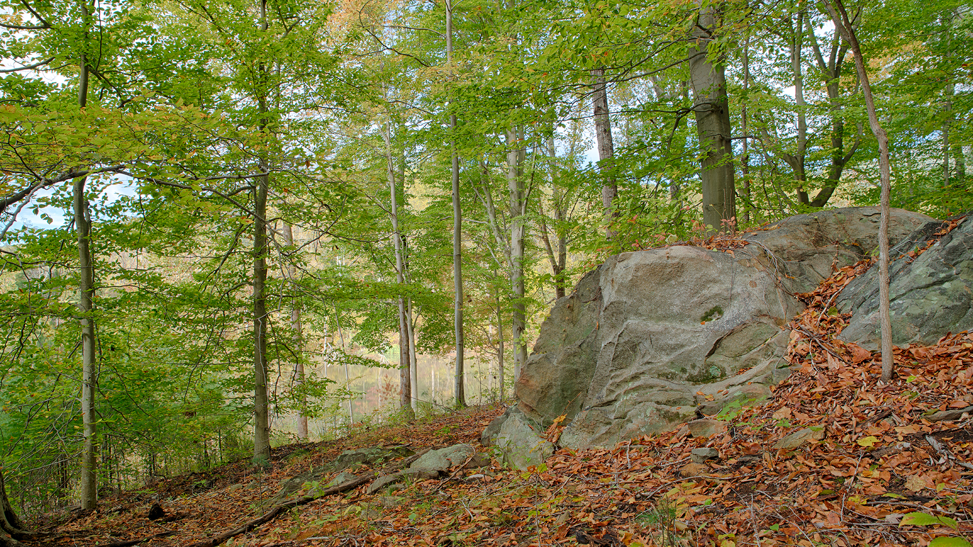 Virginia land for sale with pond