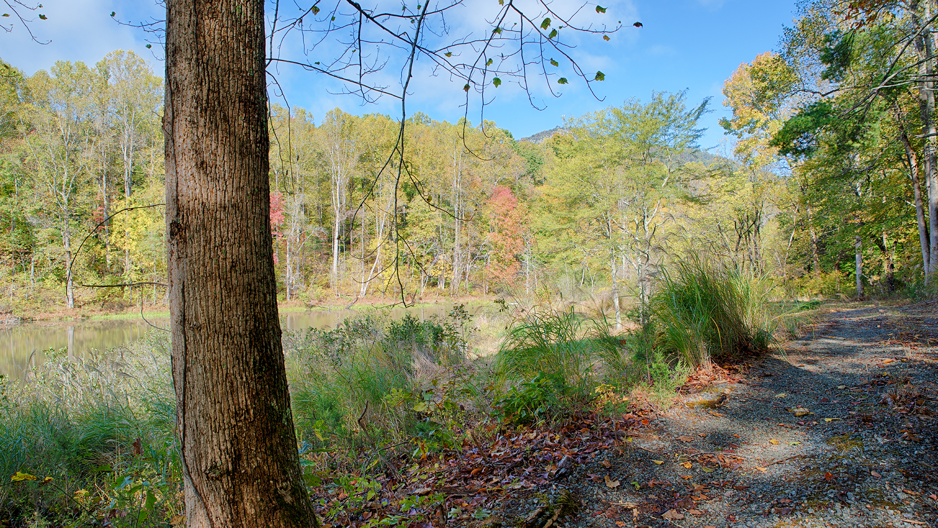 Country retreat in Nelson County VA for Sale