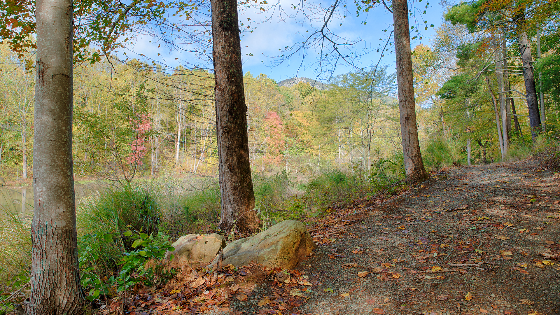 Nelson County VA land for Sale