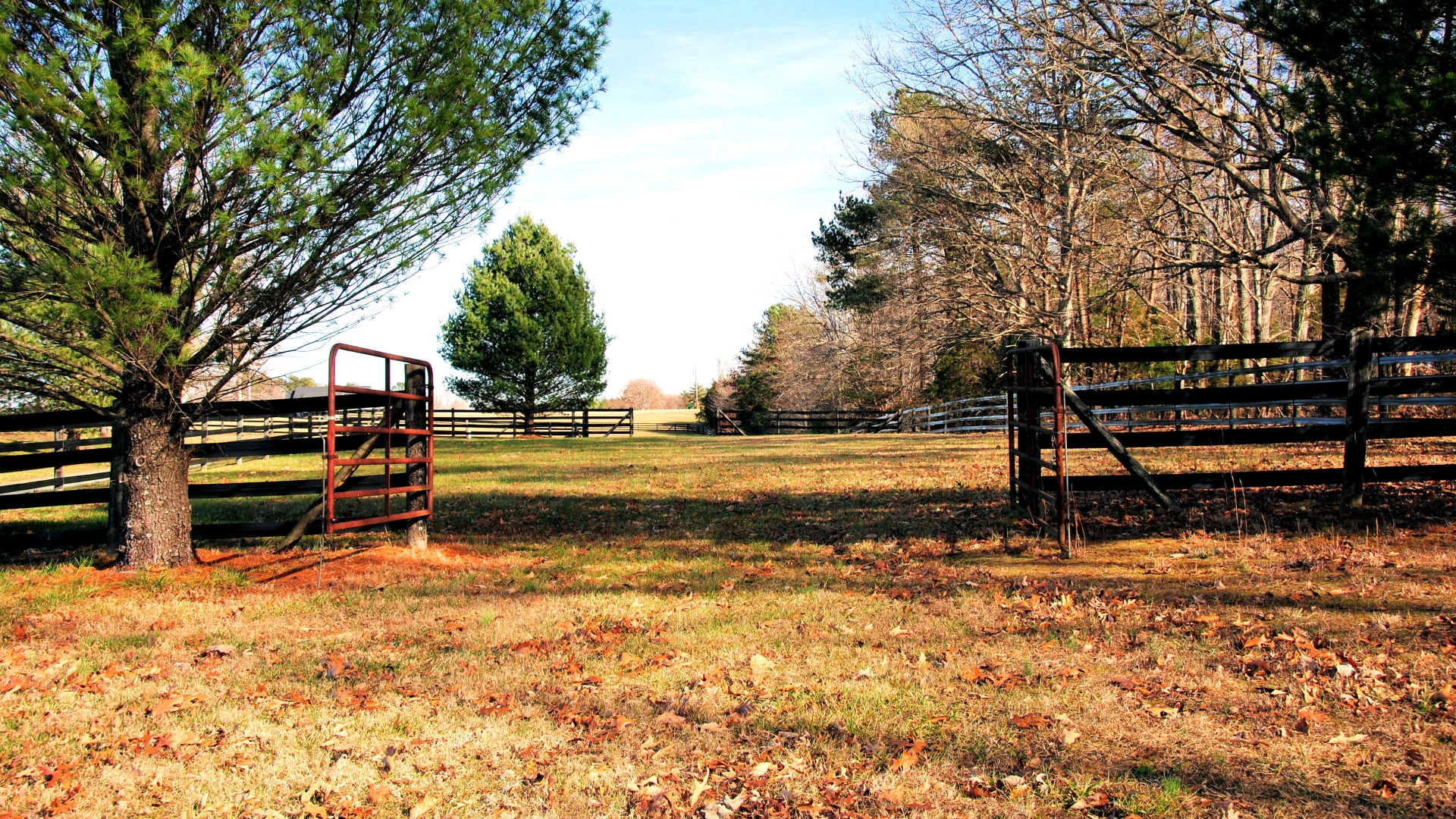  Scottsville VA Horse Farm for Sale