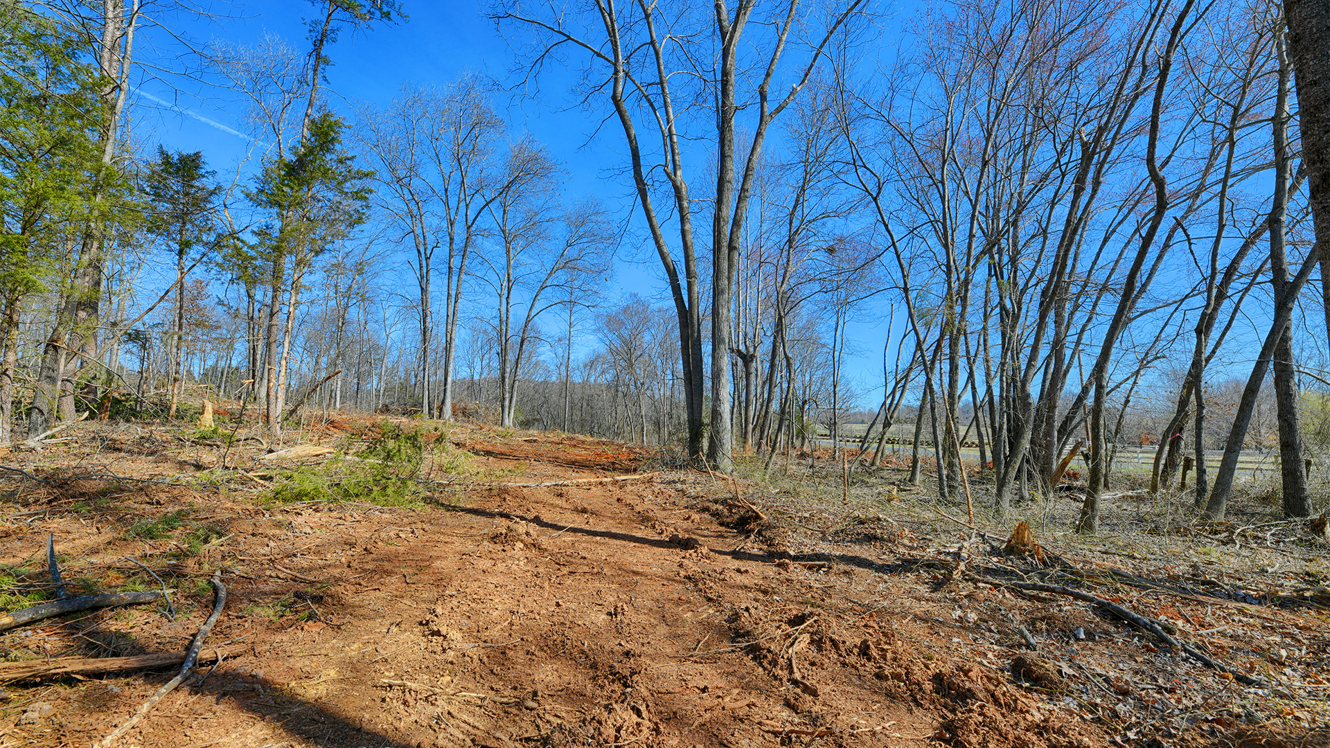 Magnolia Land Gordonsville Virginia