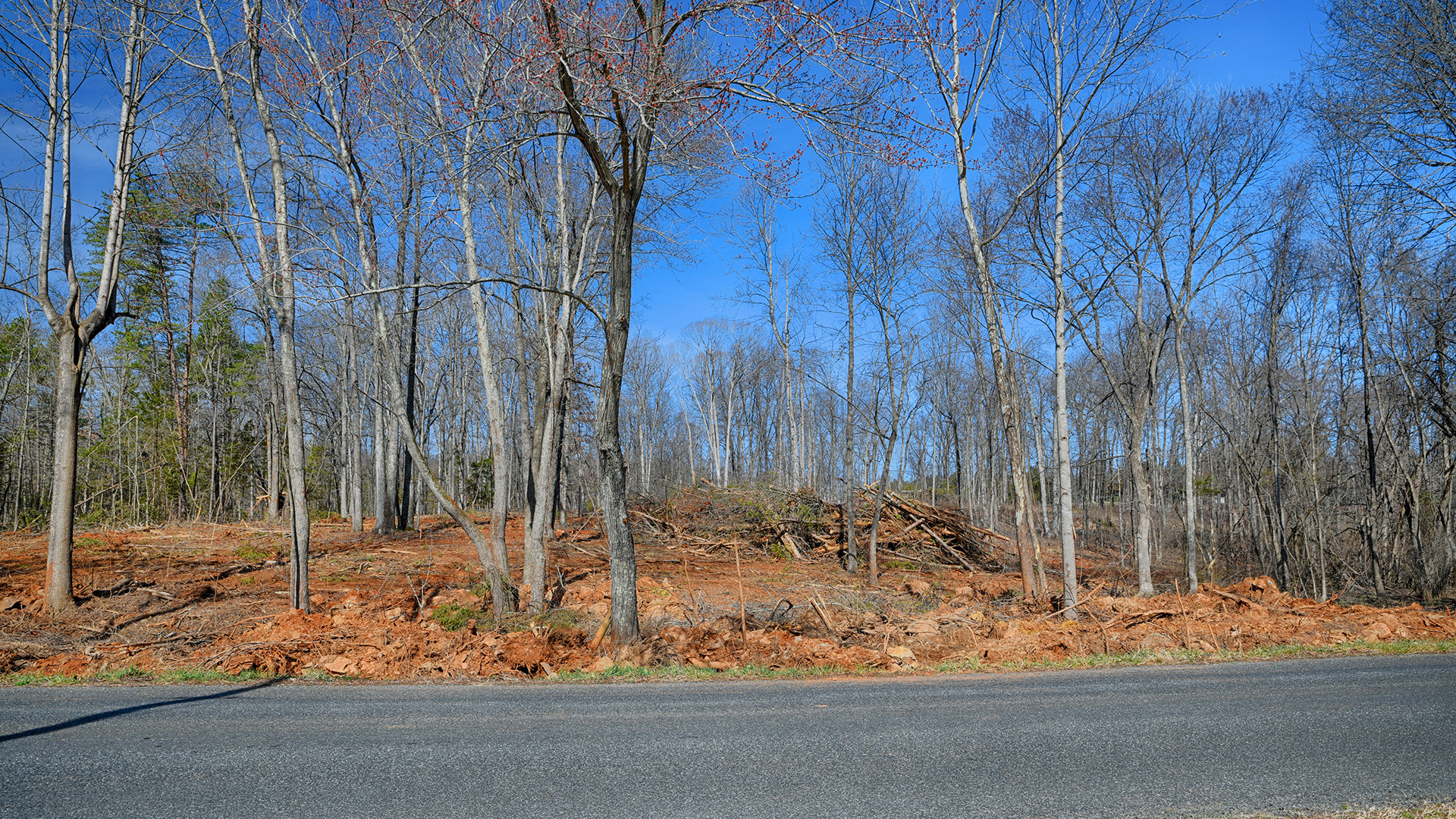 Land for sale in Orange County Va