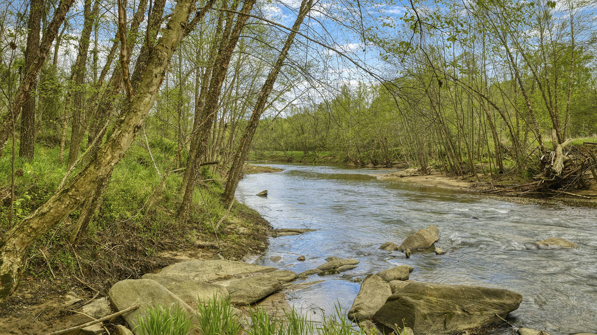 Wilhoits Lane Land for Sale in Madison County Virginia