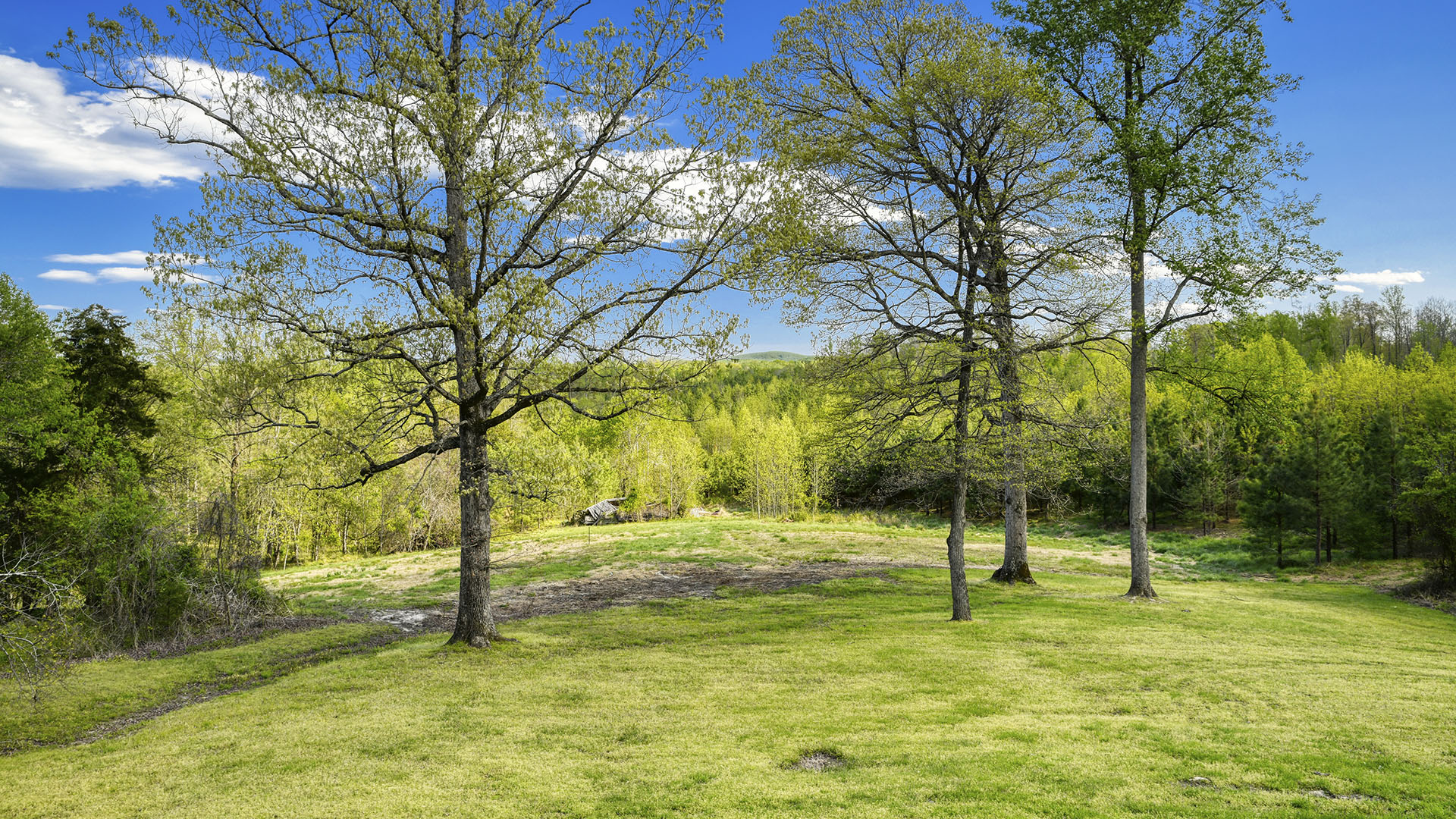 Wilhoits Lane Land for Sale in Madison County Virginia