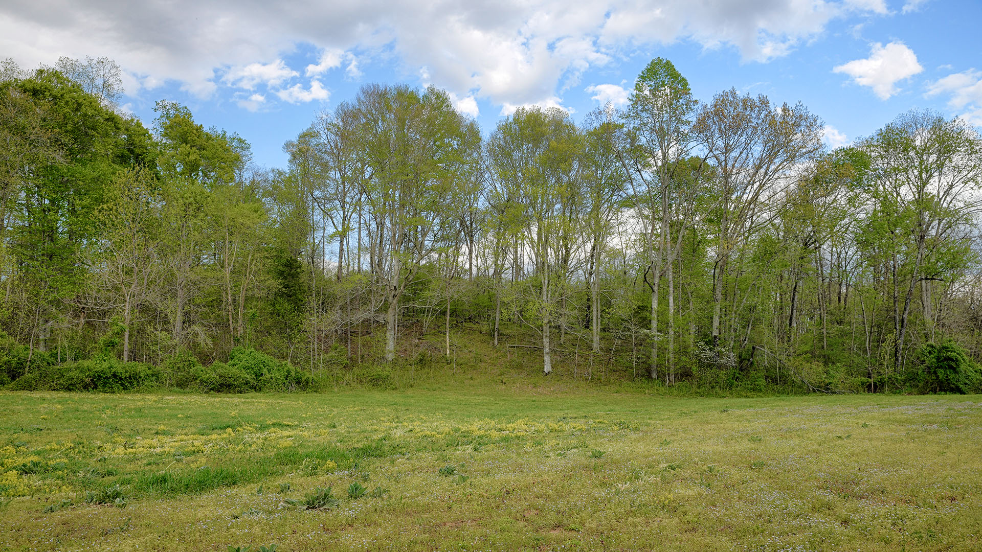 Wilhoits Lane Land for Sale in Madison County Virginia