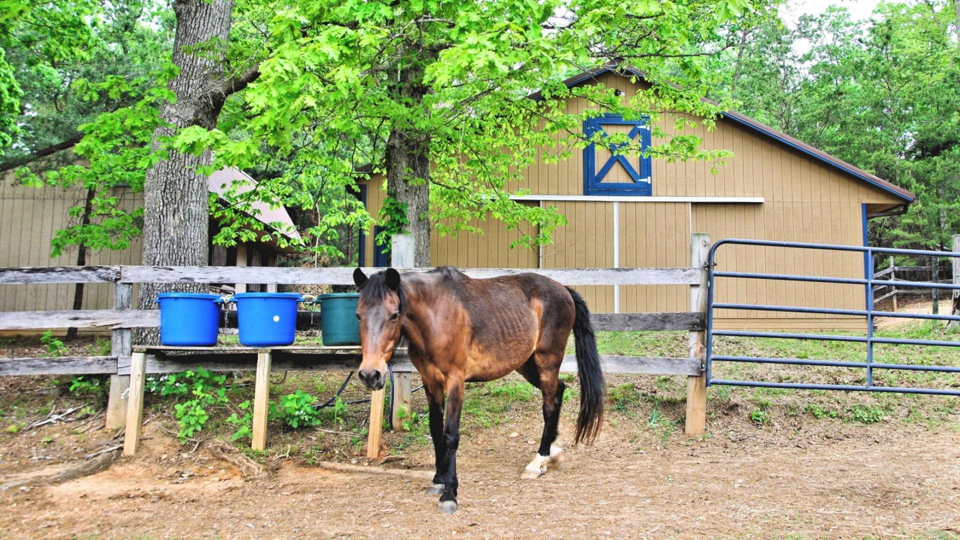 Horse Farm for Sale in Fluvanna County VA