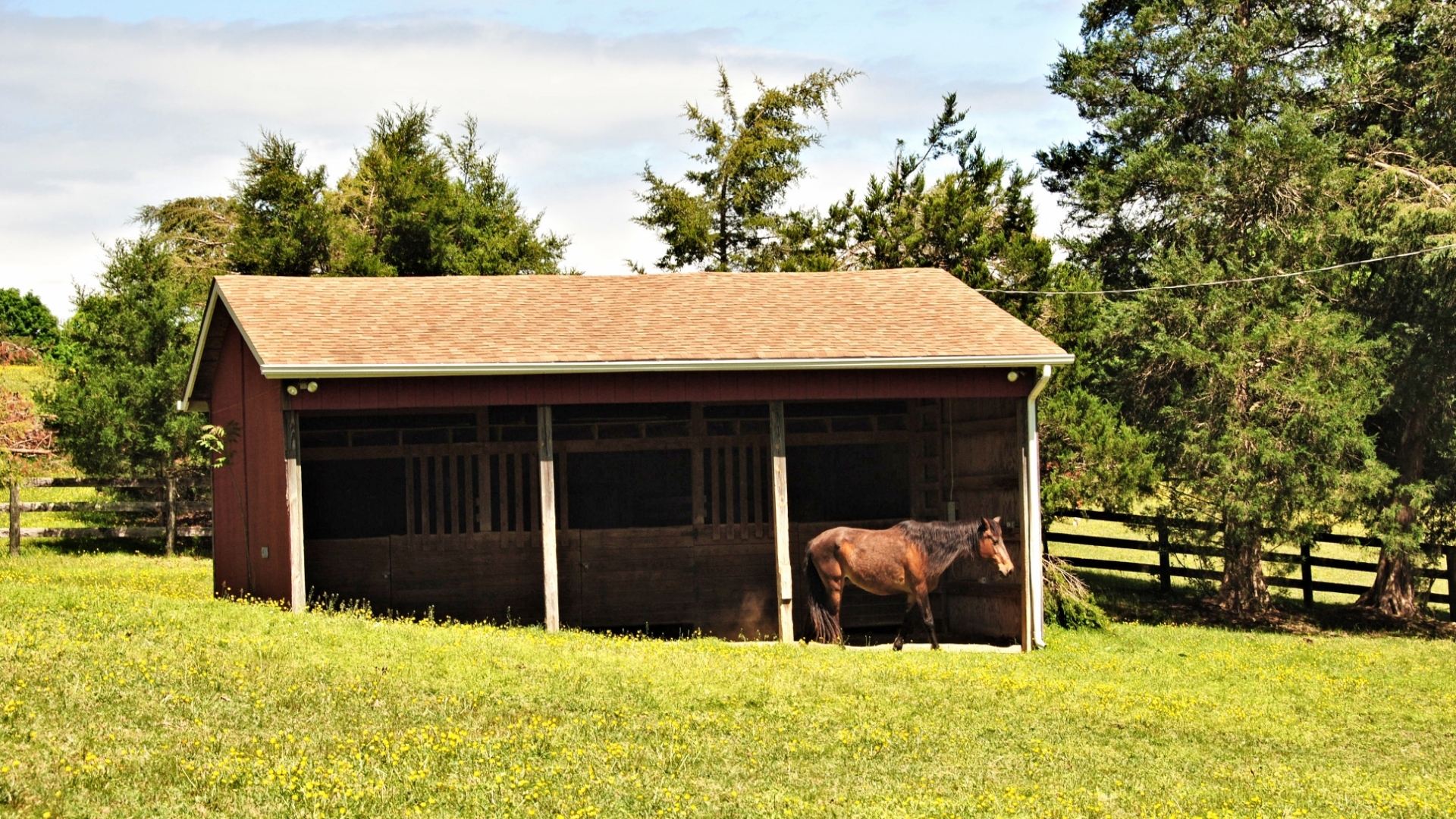  Scottsville VA Horse Farm for Sale