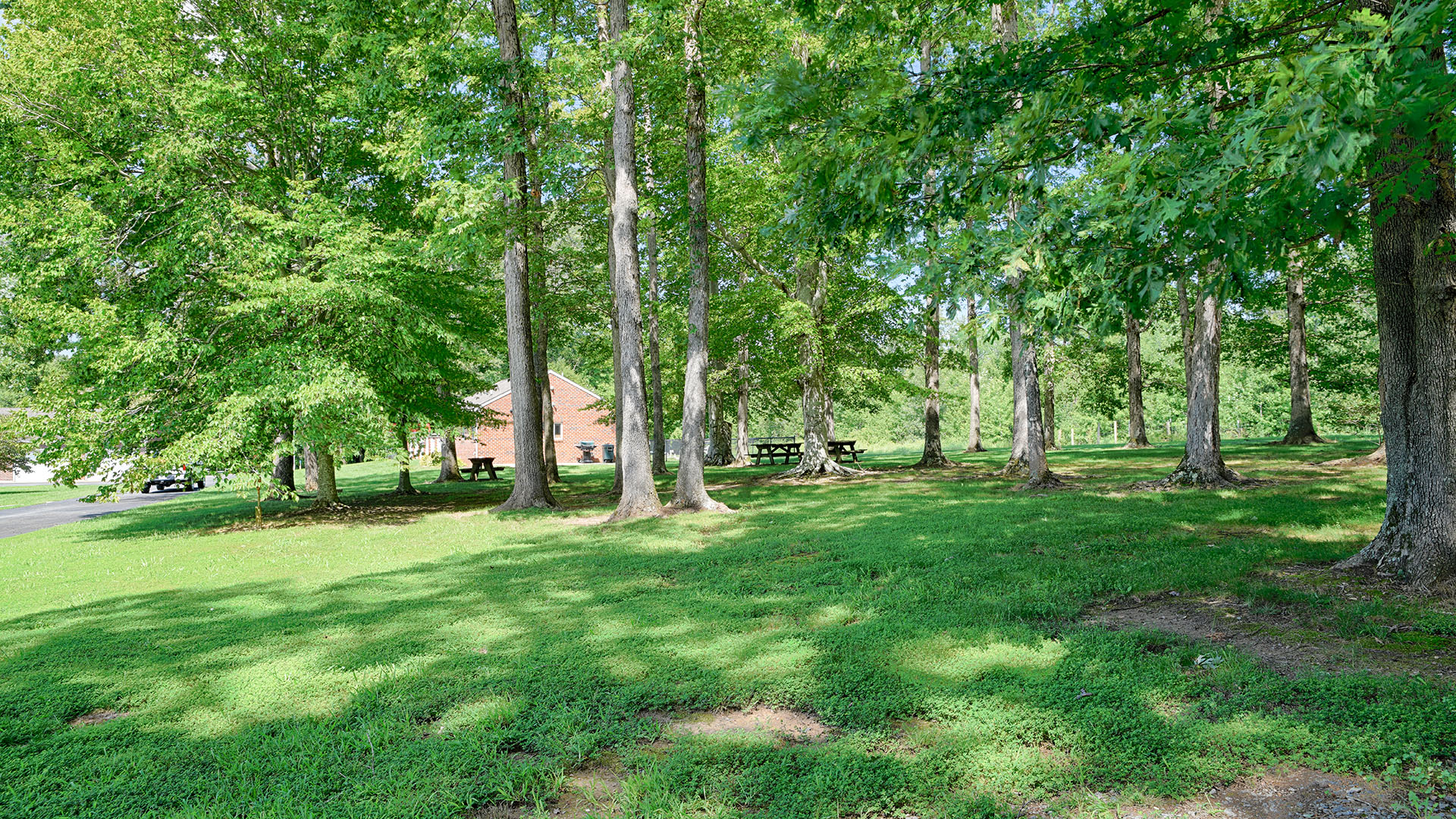 Farm and Compound for Sale in VA