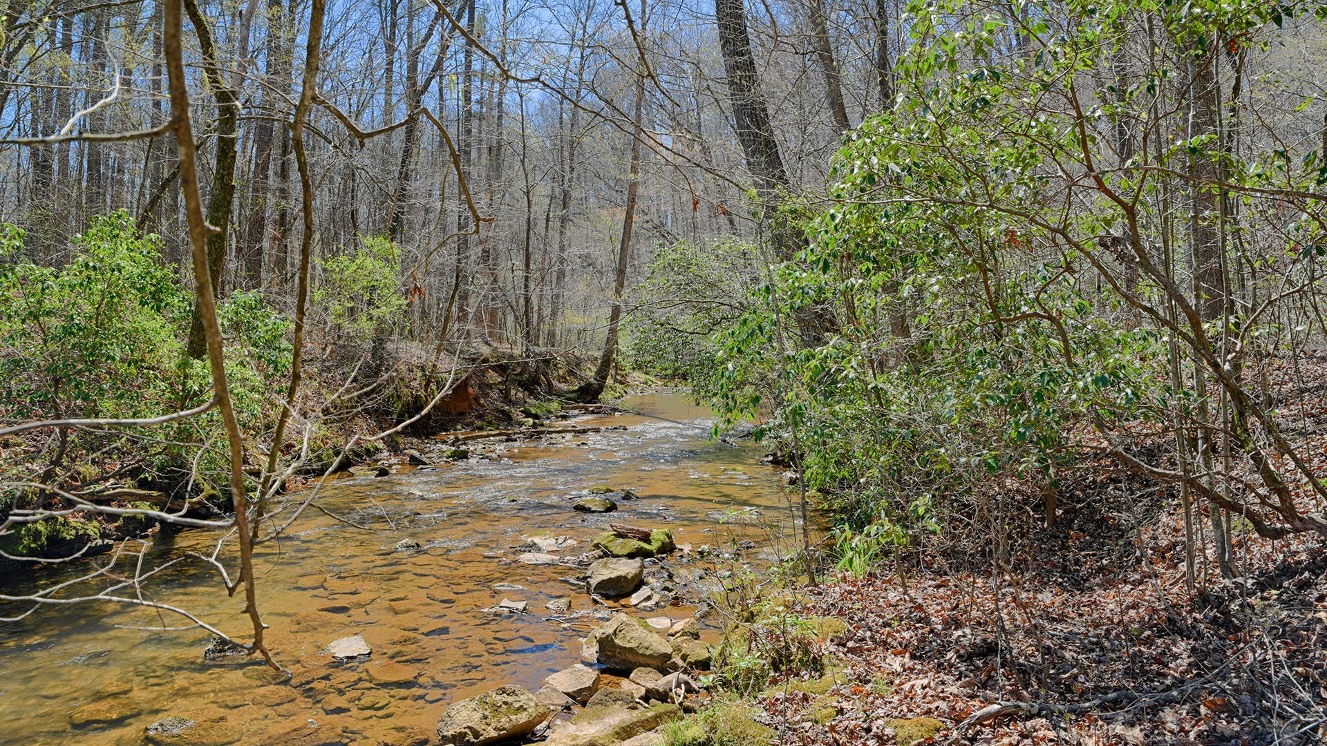 Nelson County VA Land for Sale | Gayle Harvey Real Estate, Inc.
