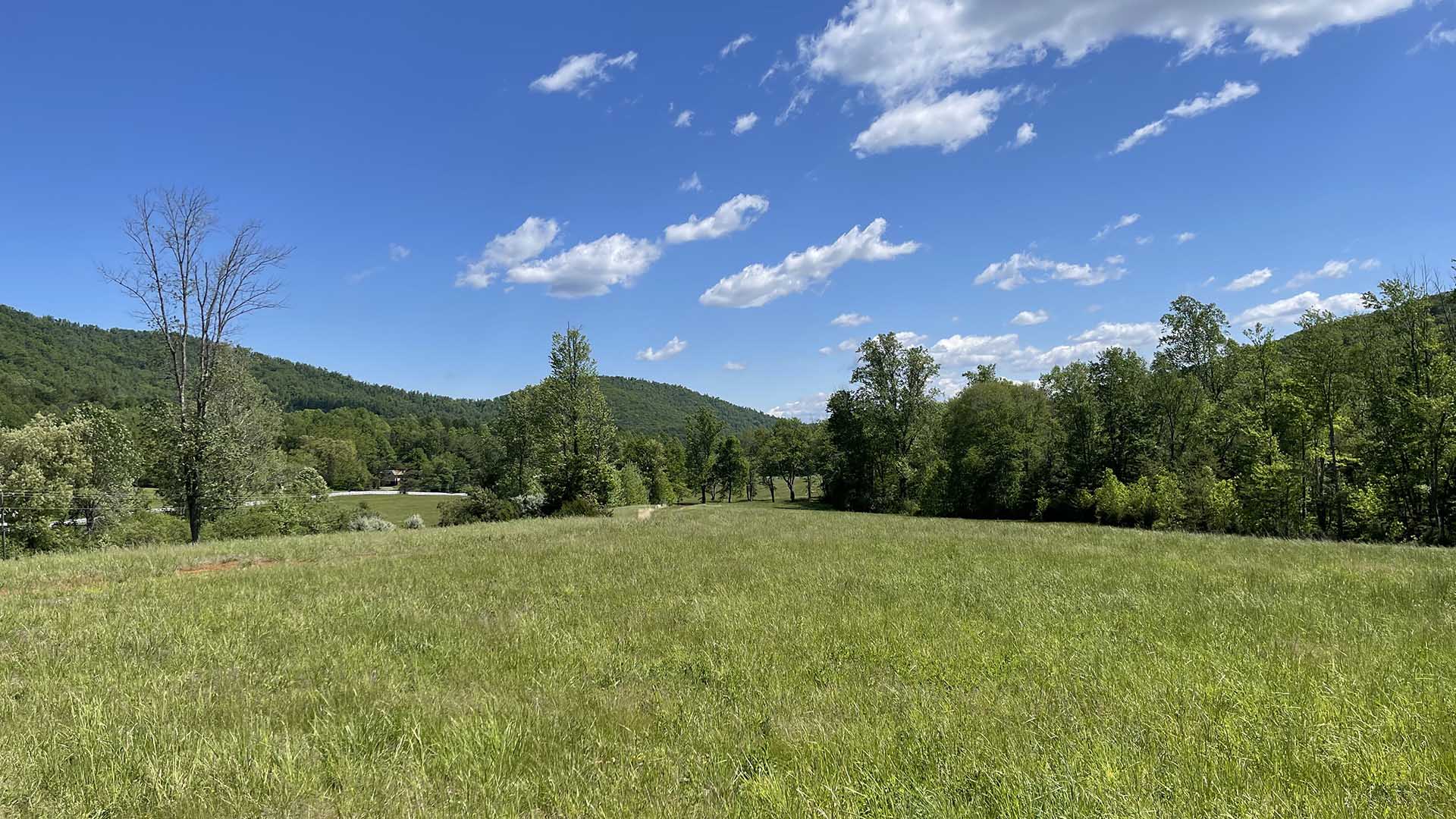 Dudley Mountain Road Land for Sale in Albemarle County Virginia