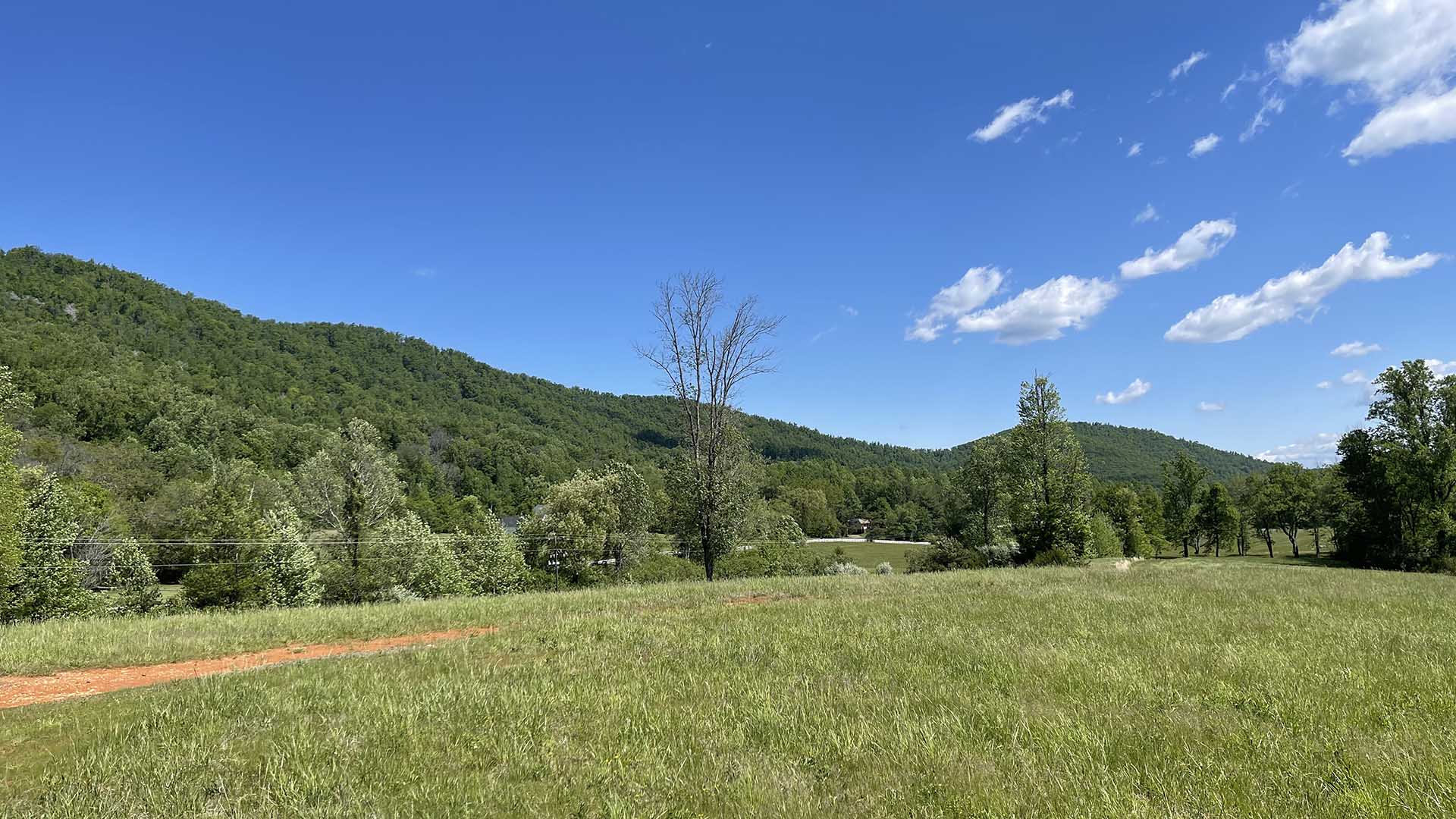 Land for Sale in Albemarle County, Virginia