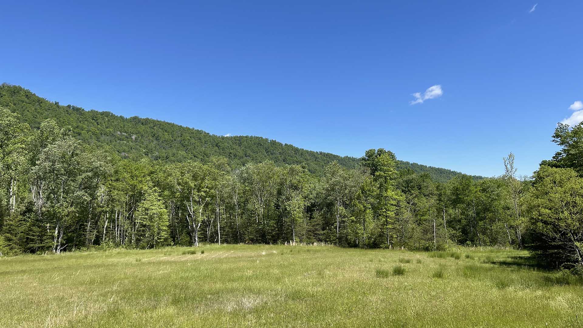 Dudley Mountain Road Land for Sale in Albemarle County Virginia
