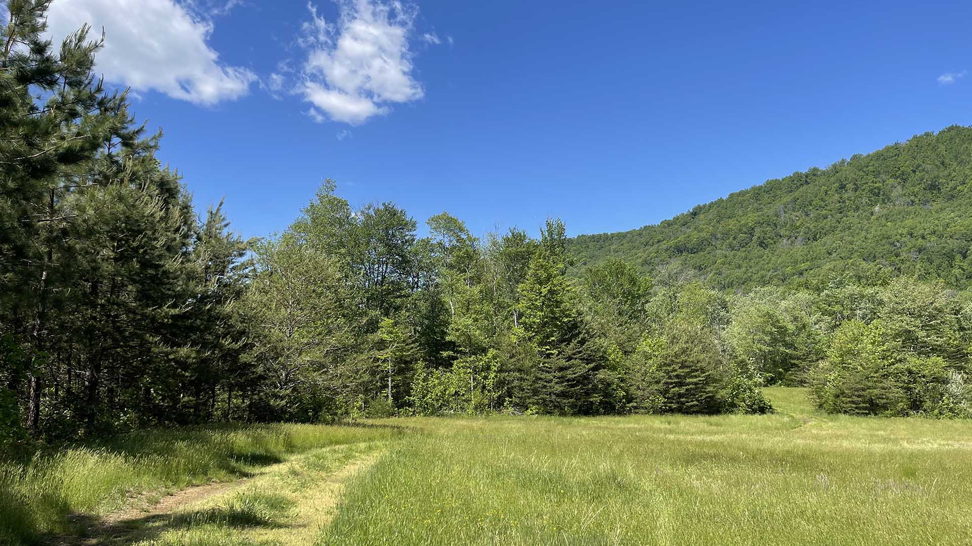 Dudley Mountain Road Land for Sale in Albemarle County Virginia